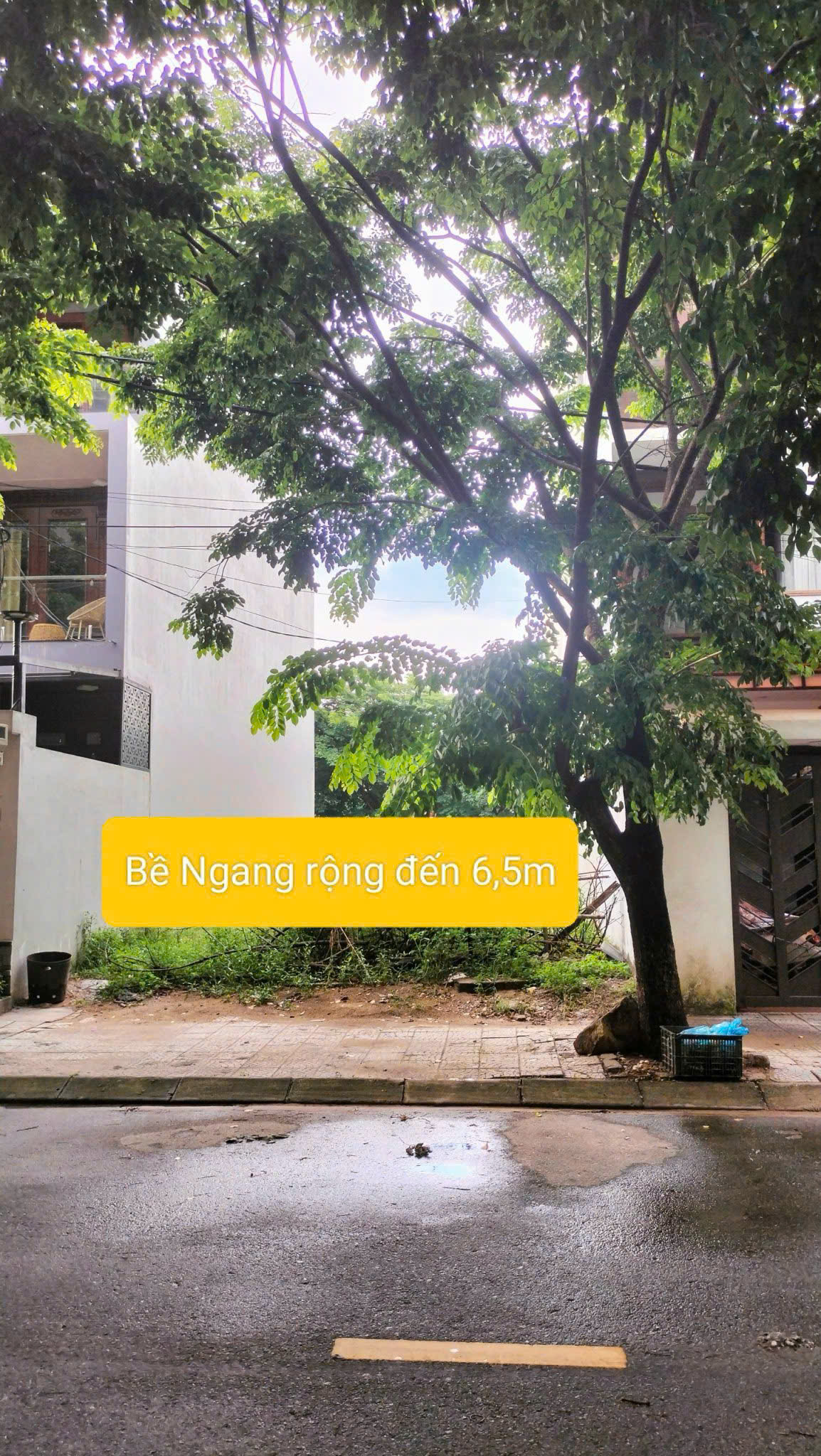 z6573100104801_f8d8204782d690a7d76b8115a62de54d