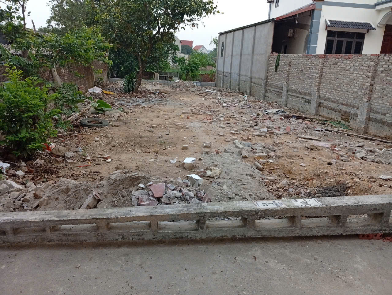 z6573551001970_8a97f36a6a8d2ca102da374d56b1e660