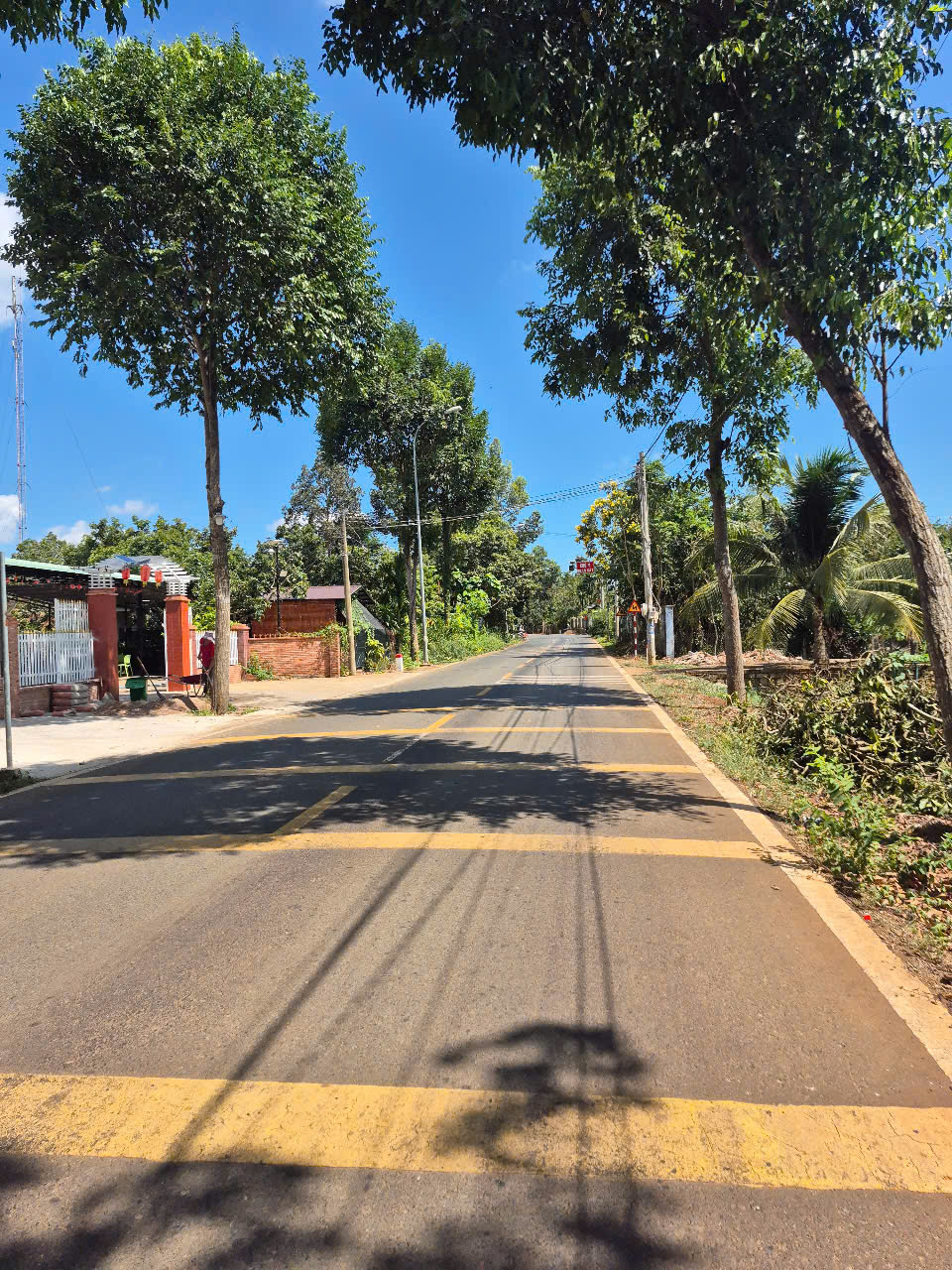 z6574762935804_3bfd026afebd8aad25c8260a4e32c568