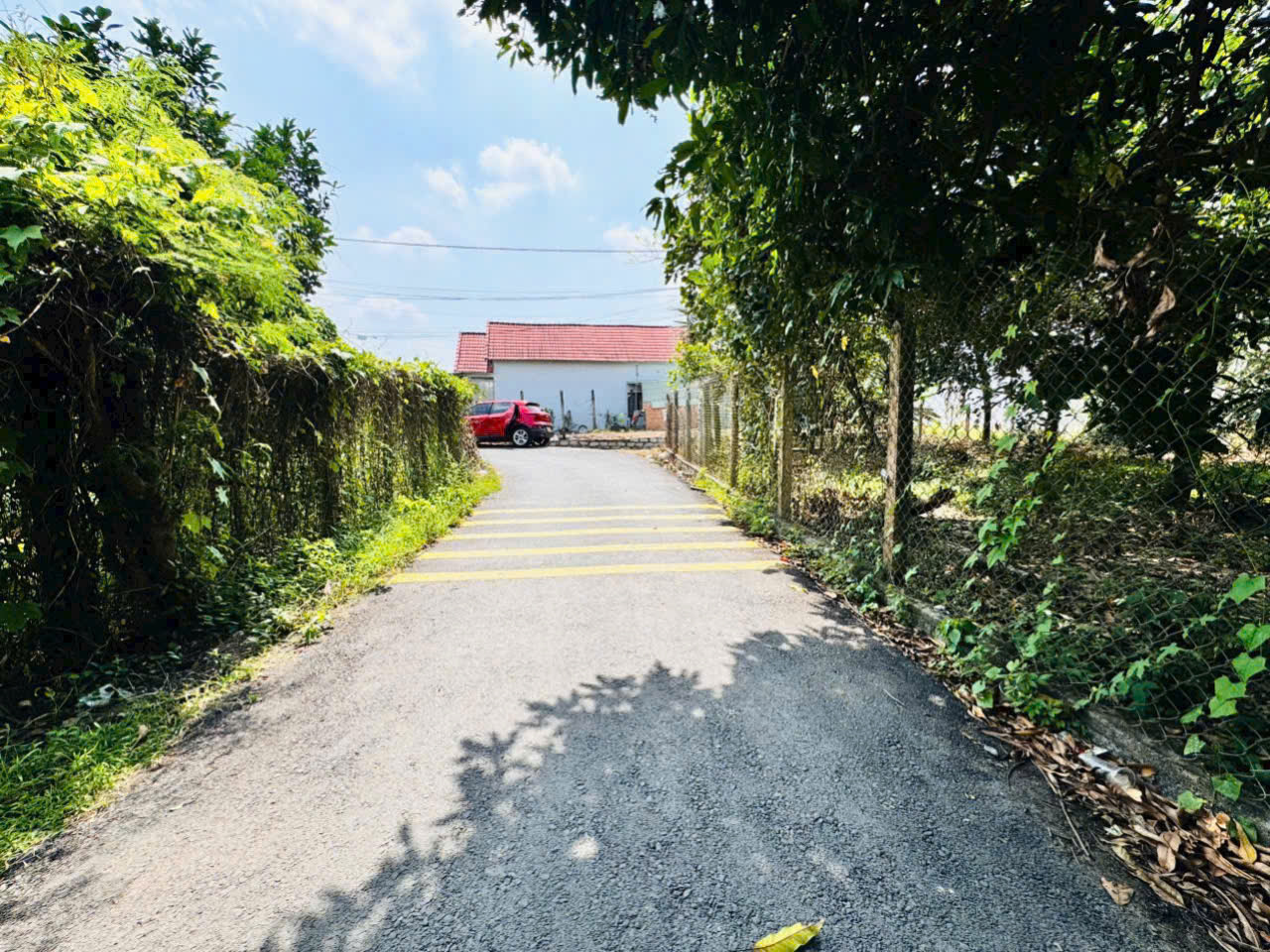 z6575901192161_06f32a5a53255e935ee689f2d84ef592