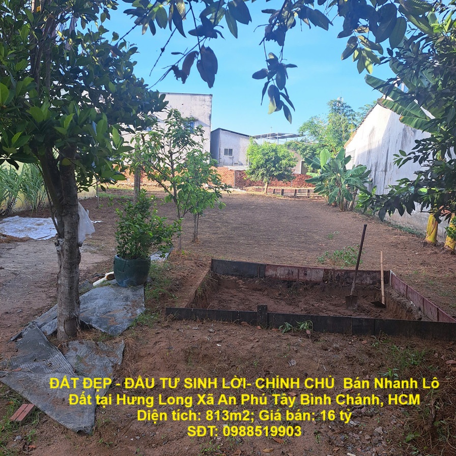 z6575946788593_c8efac038fb82cc374bed9b6894222f