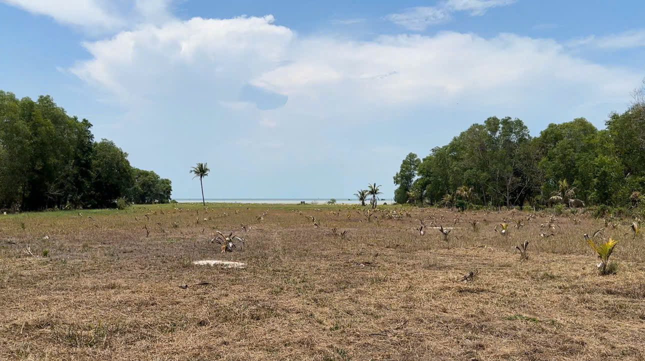 z6576759488751_6e5a9cdd24164e23810a33851d8fffca