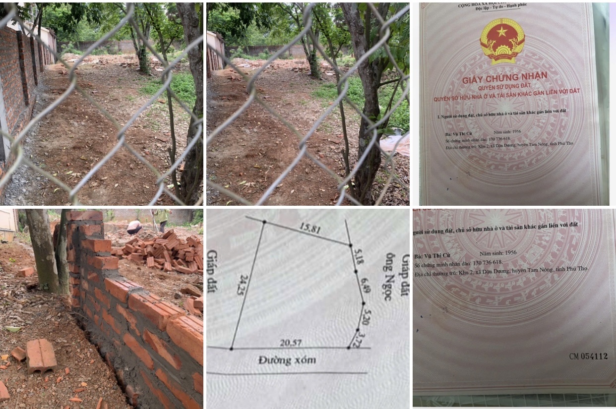 z6577235069911_1ede01de97166687fdde99713394a3e6