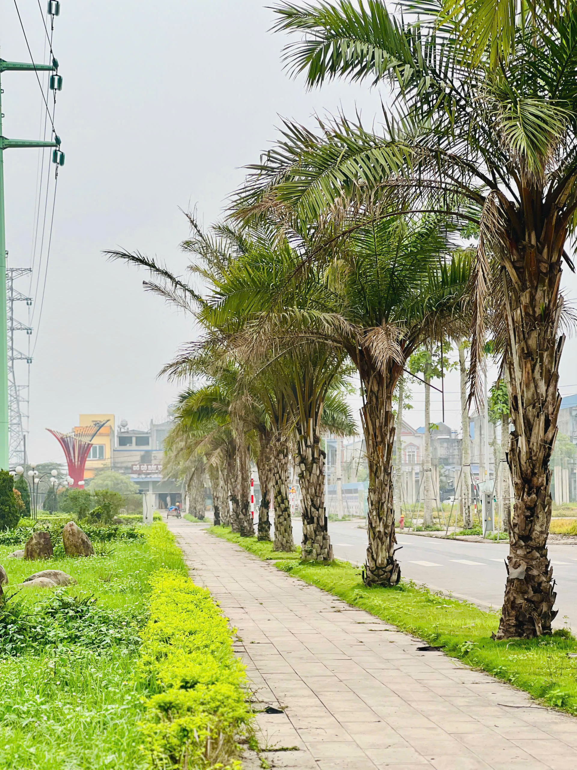 z6578671876124_e6cb524dea001443823c213c0eff8208