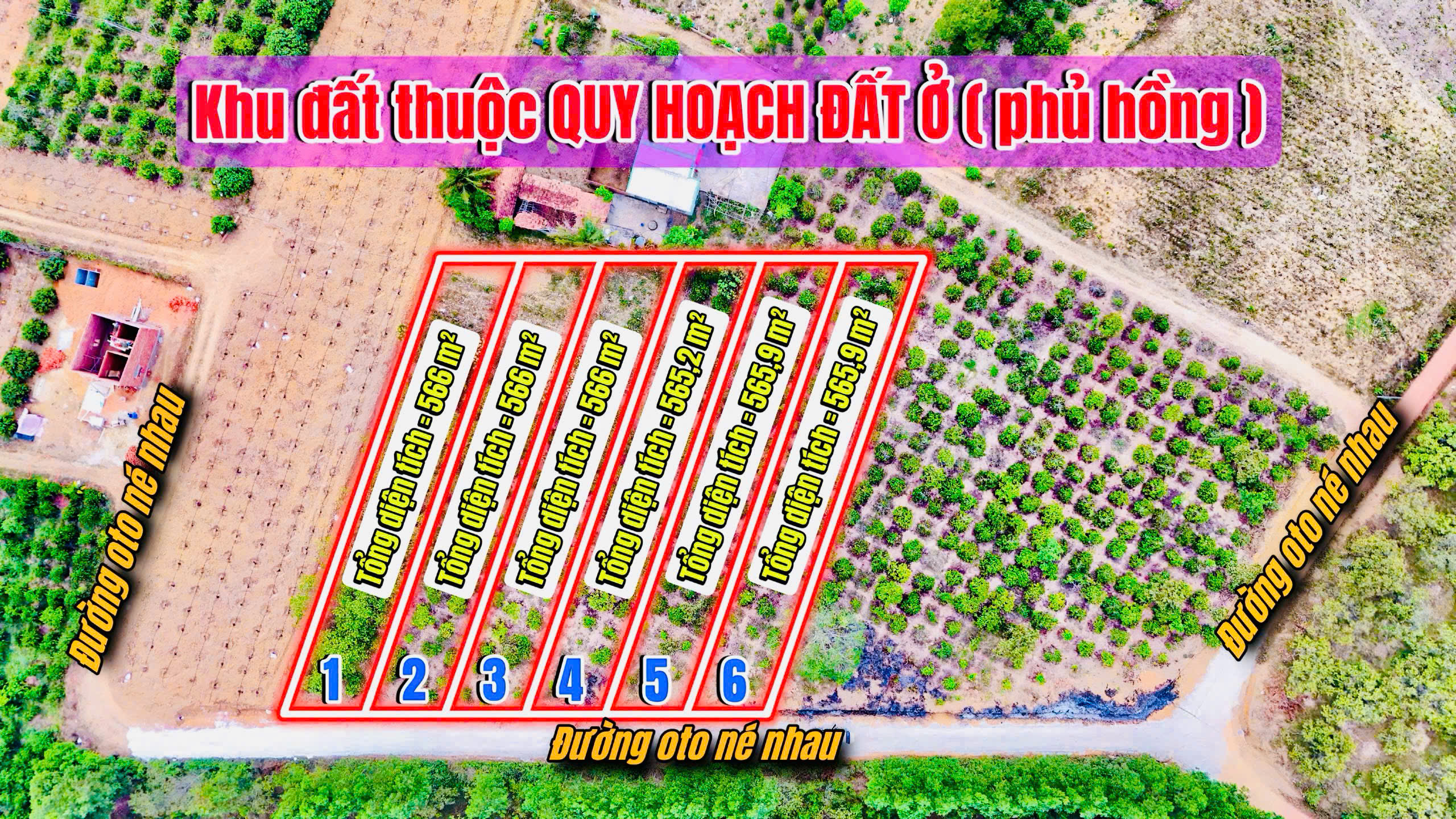 z6579407735636_ce670dee102b6d79c1d39d72cebe3ae0