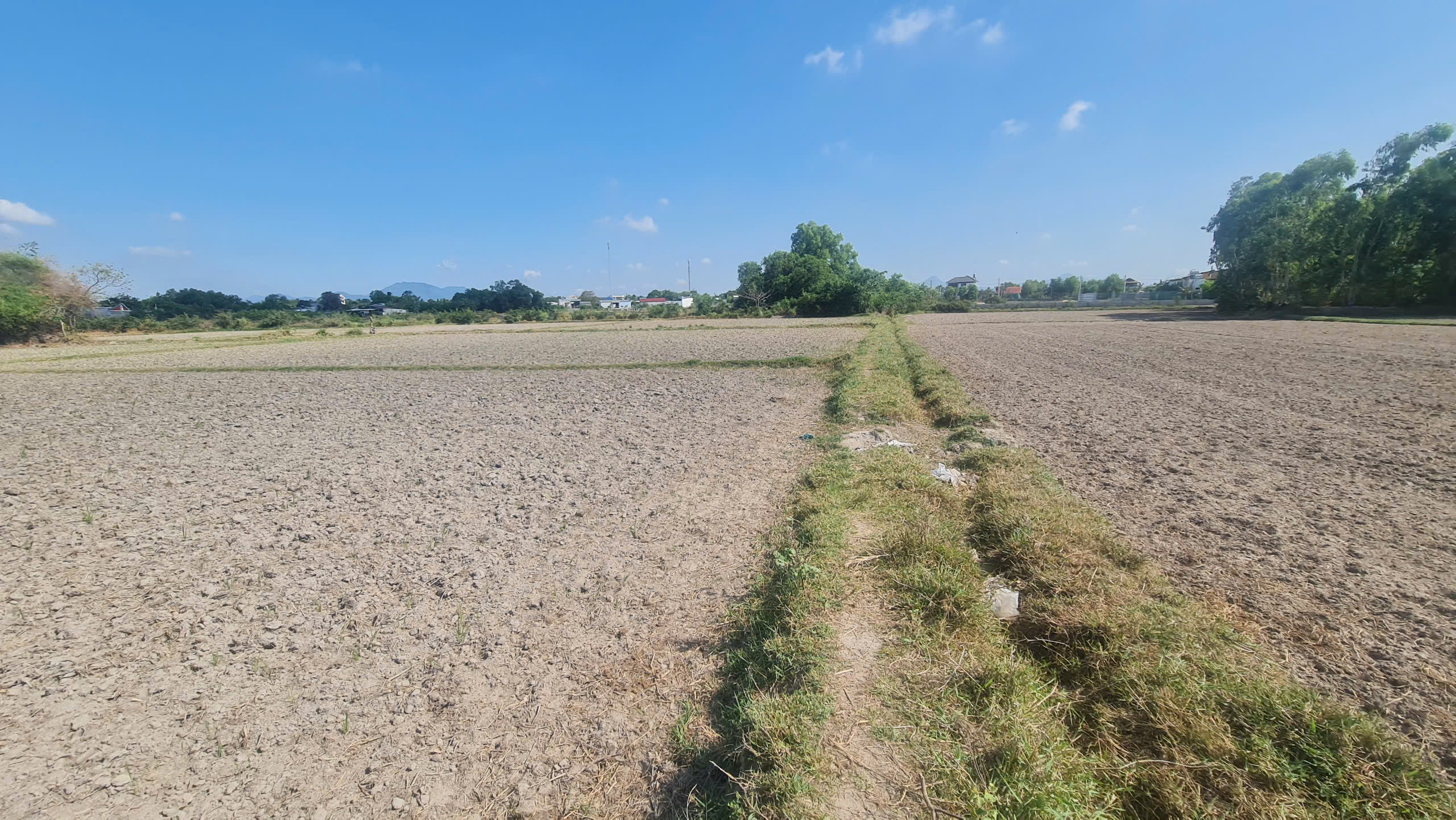 z6579665765442_0dcf3c8fb6651281cdc98ab23986a8db