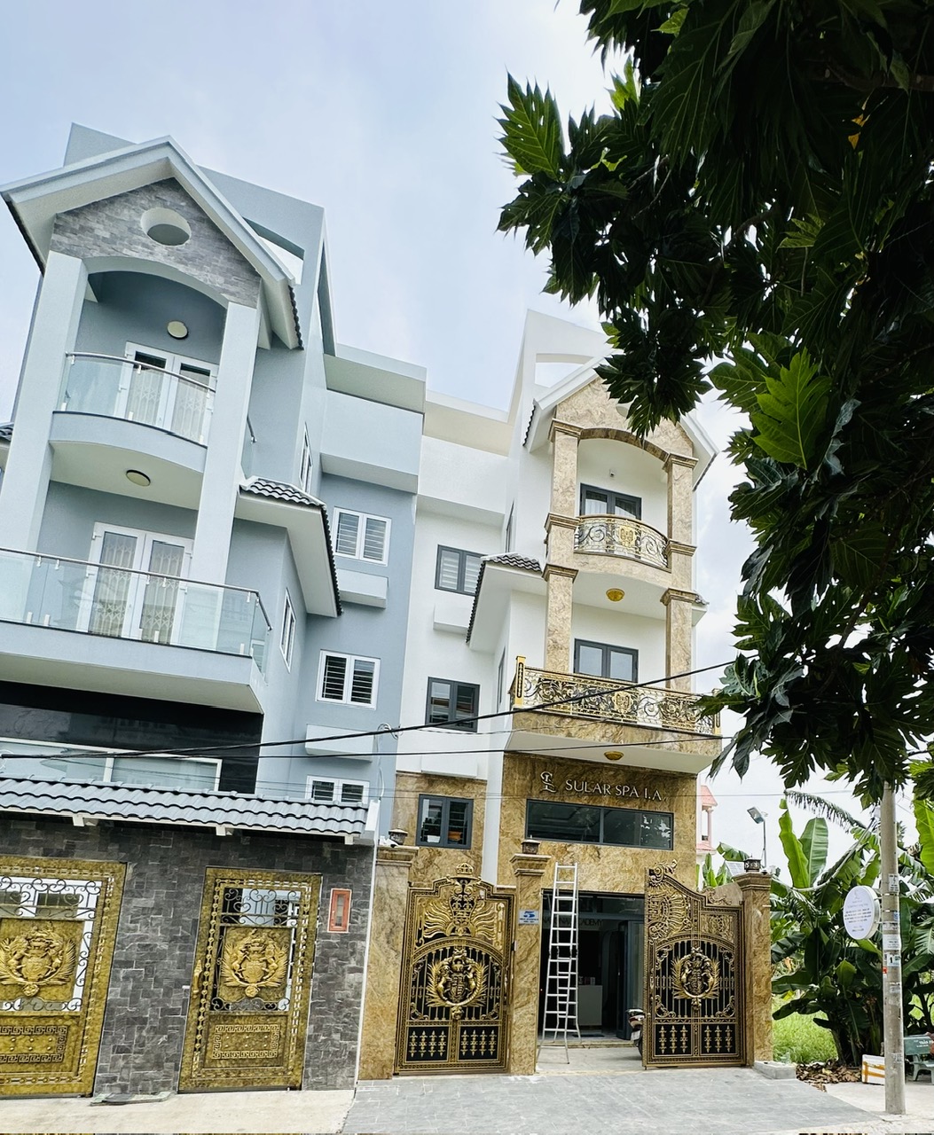 z6579763838403_fd8a3c21a3b51d7bdf81ae4220d01692