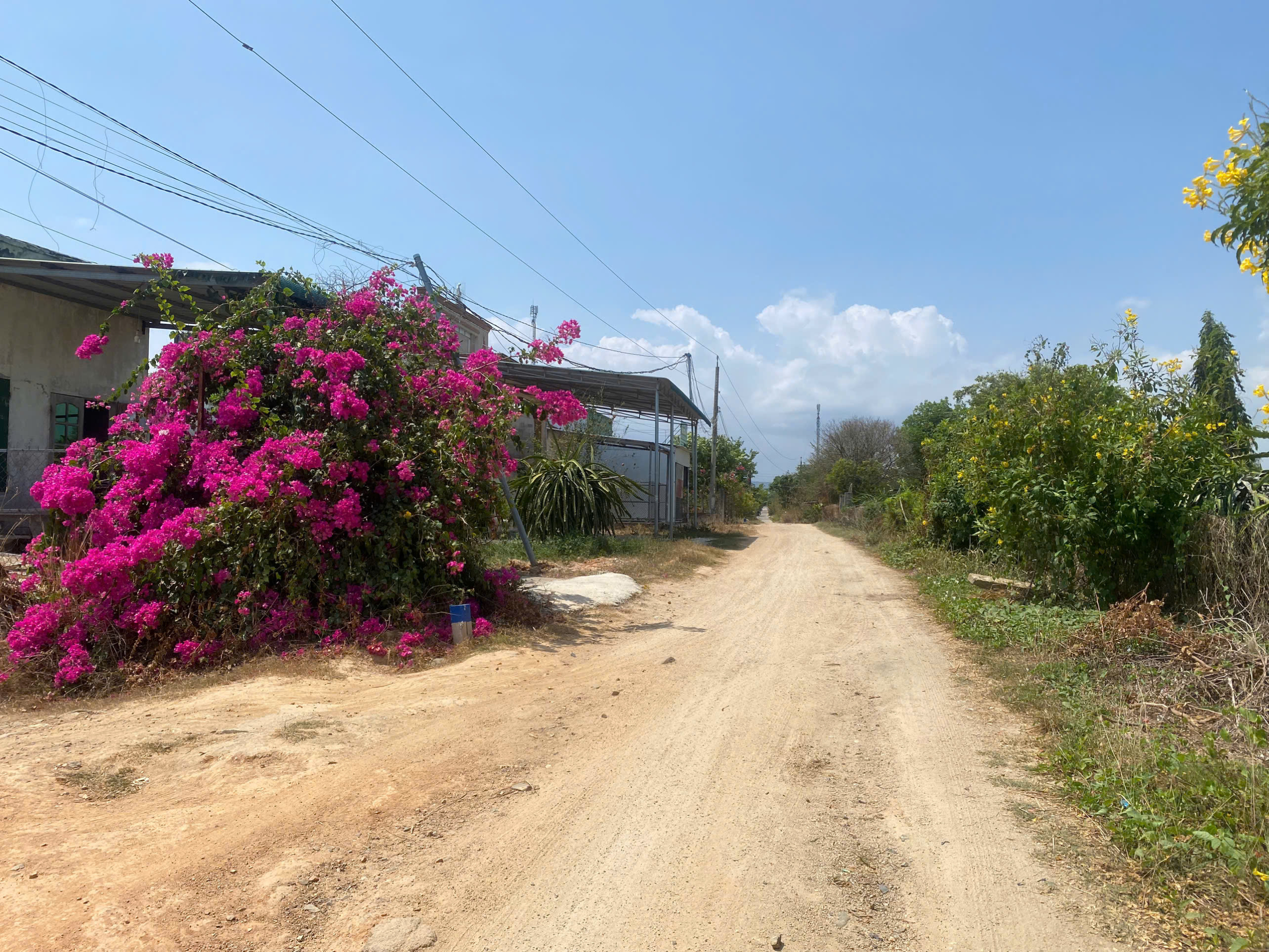 z6580125864742_25595eef04faf98db779aafb26063ffb