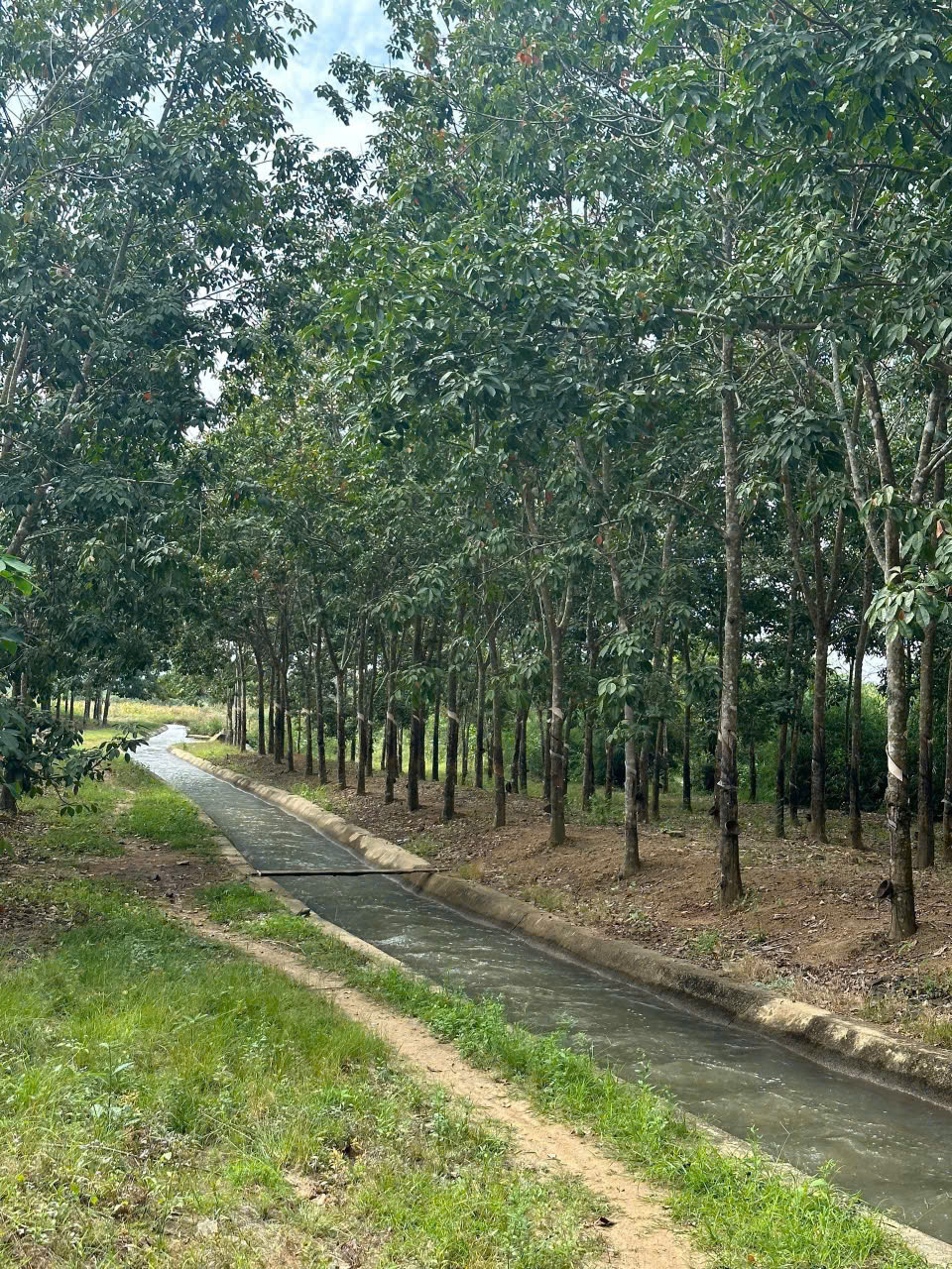 z6581297206865_eb988b4289c750c701397c399e7845c6