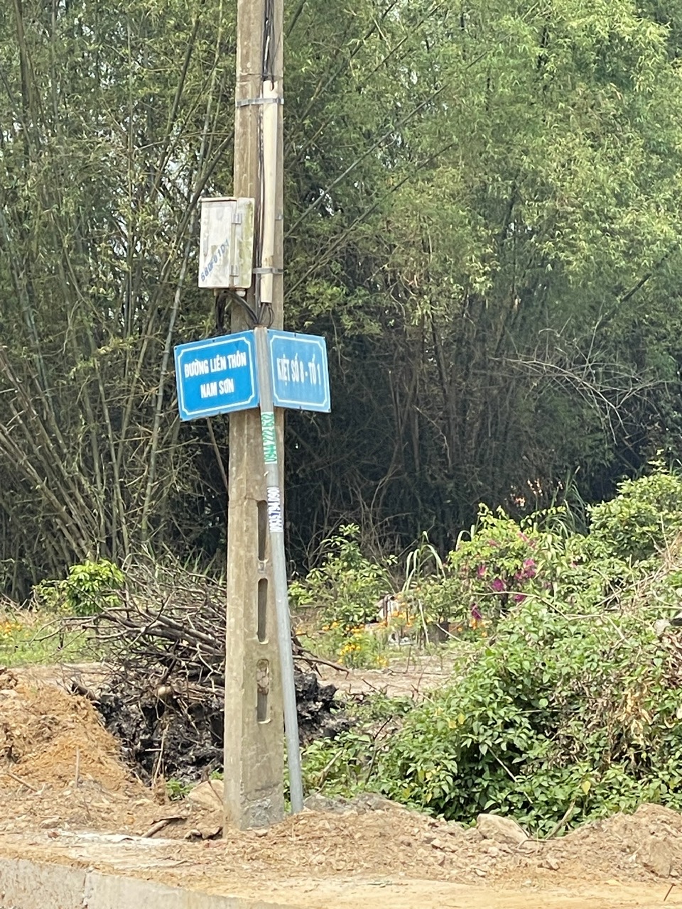 z6582894038095_bfe2387c37fcebe22adda2ed5125909a