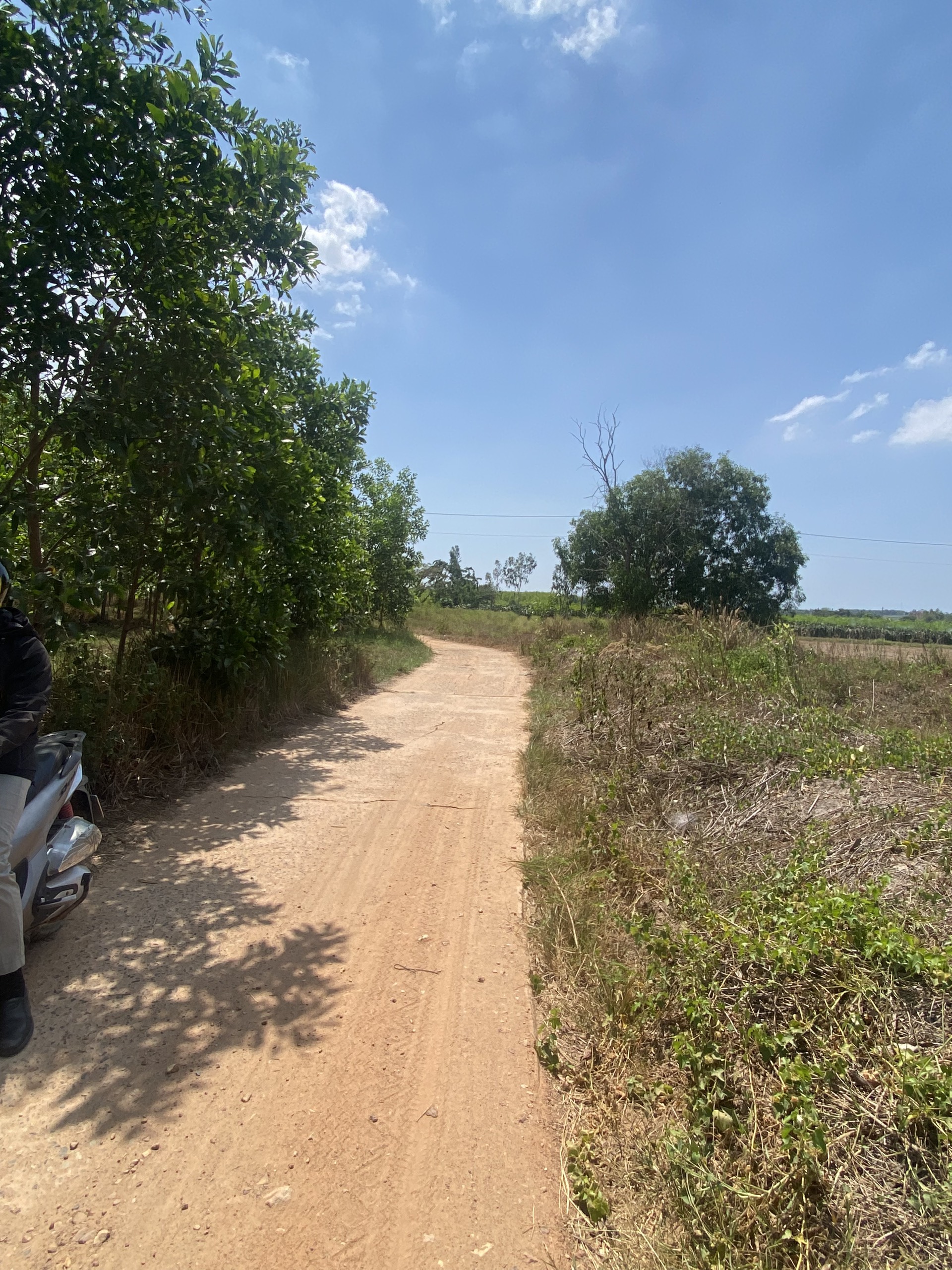 z6583262839325_0567a4fbfc09503587043504cbc32dac