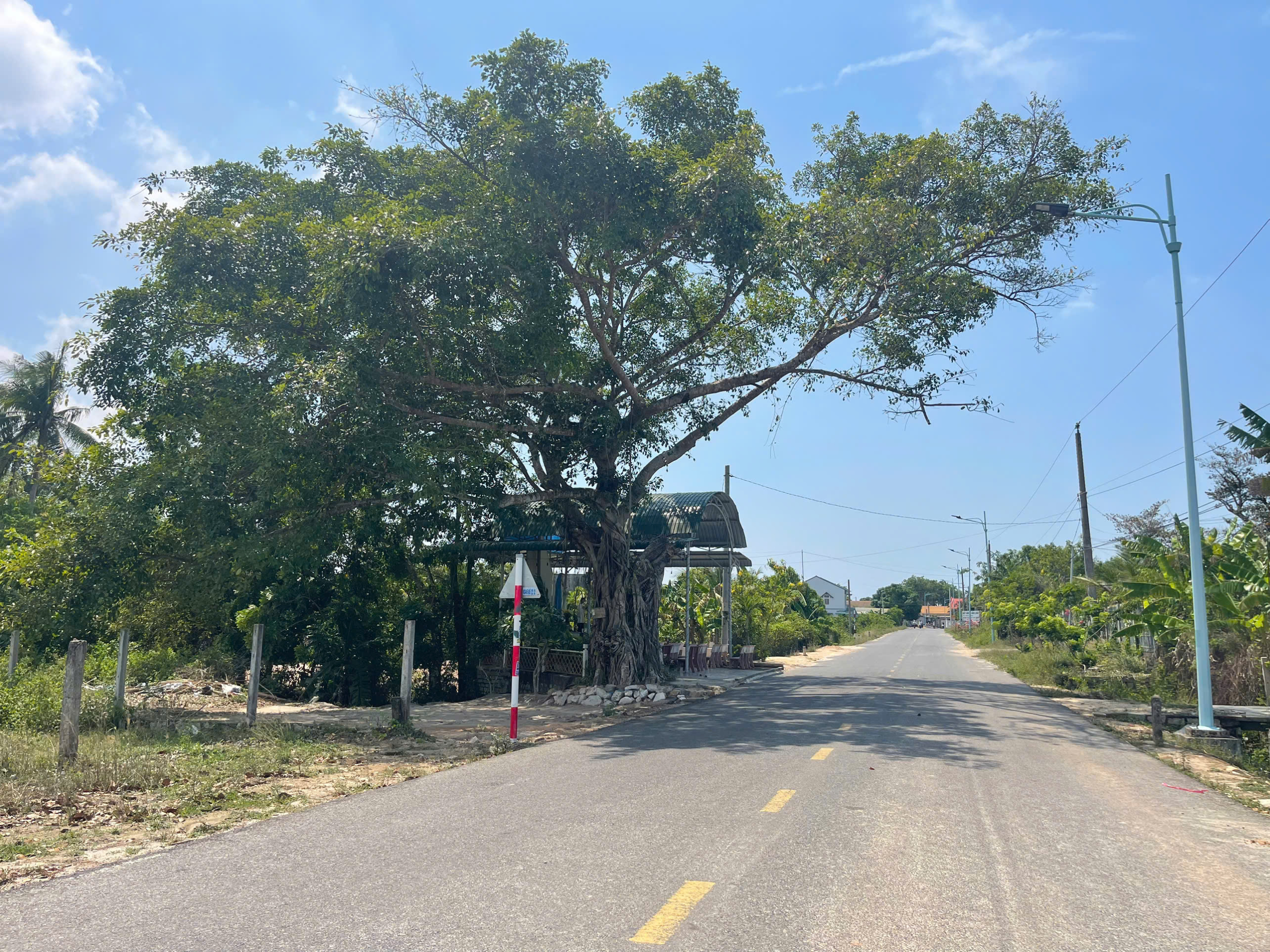 z6583425871643_bdefdfefe698d7371422b96621b33771