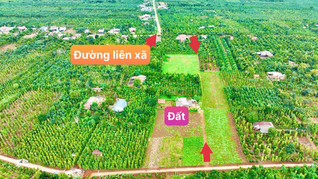 z6583537582241_4e8021177b8b85af2aa8f3fd8500f089