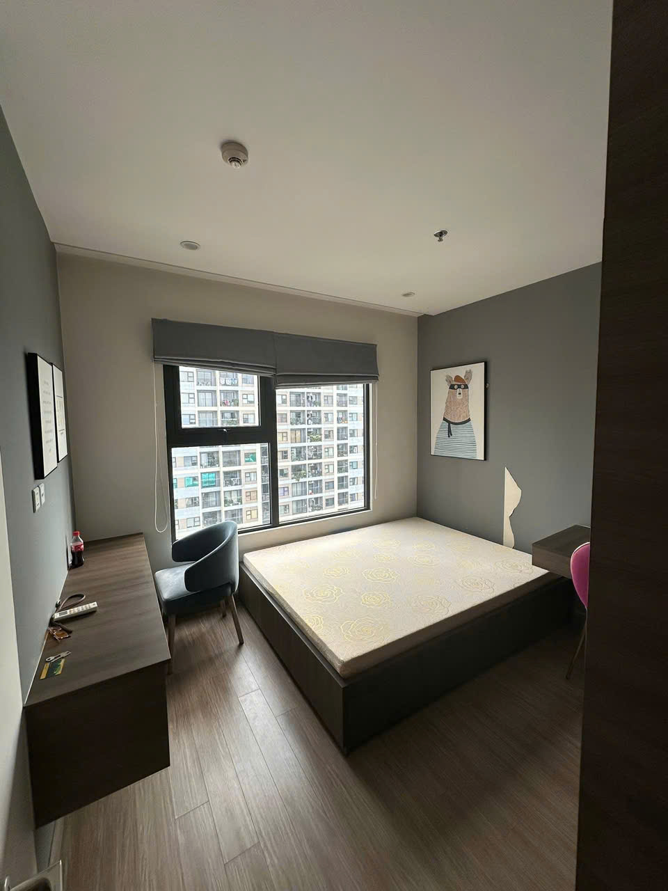 z6584605116915_208b6c24e3a28b8041db2b99bb7c59ef