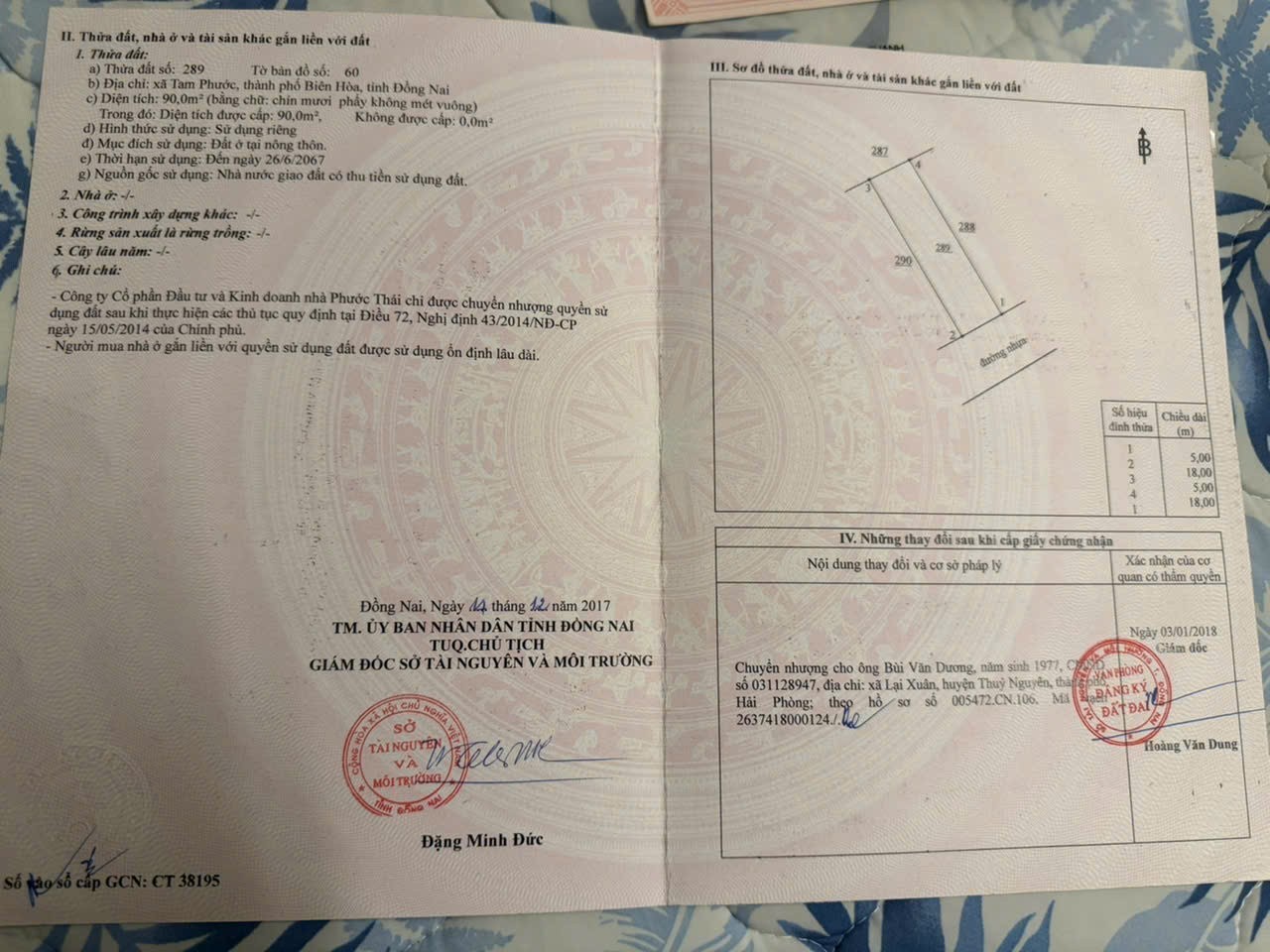 z6584769212118_95961e0346175062a08fce5e707627c4