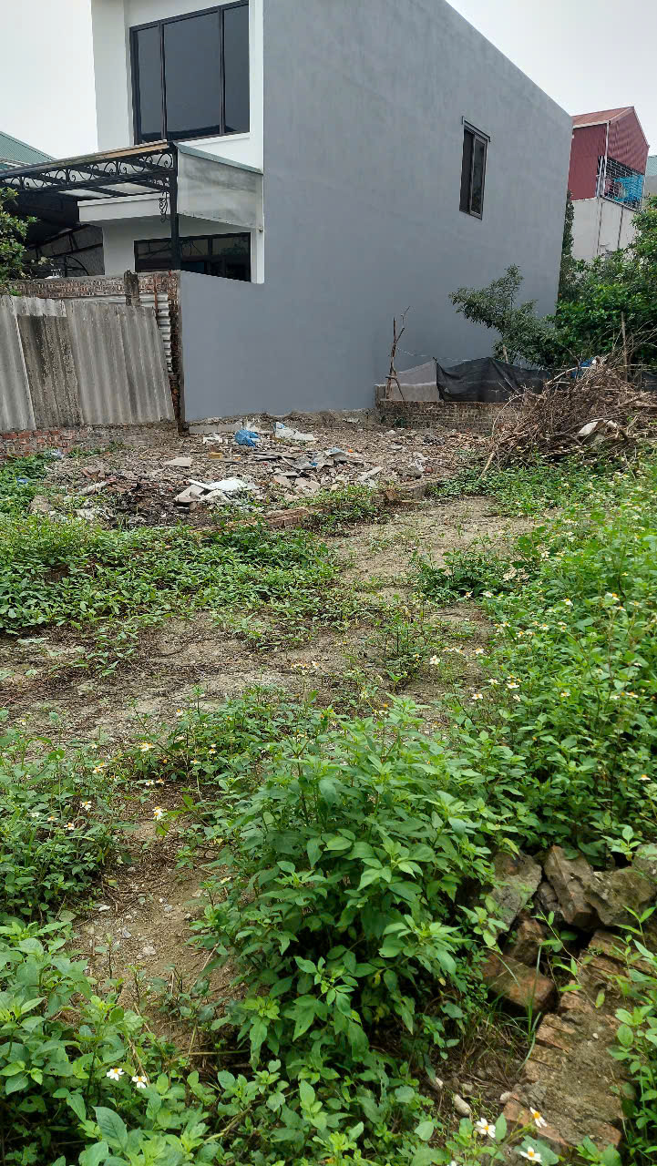 z6585816333586_4bc1028c705c53e1363e957a2a3d0fb5