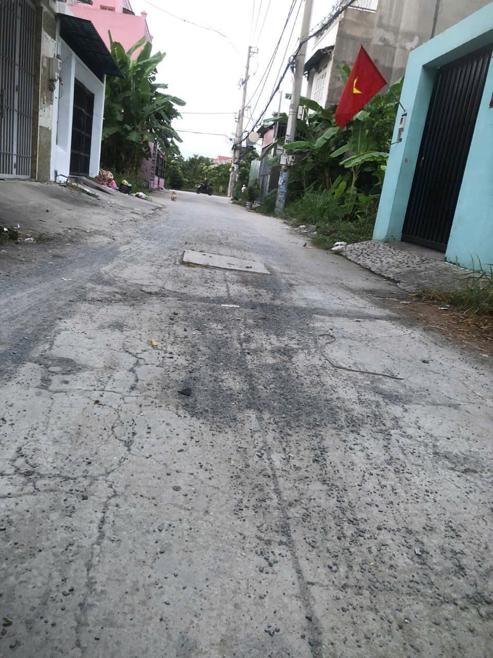 z6586171934394_035f29d5a2e5e9156dacdf7d65421aa1