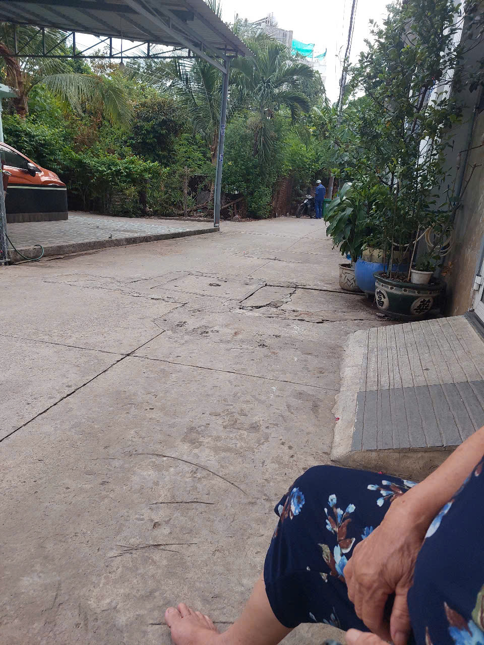 z6587200150919_86c3e215eabf69c83025ada6d3ebbad4