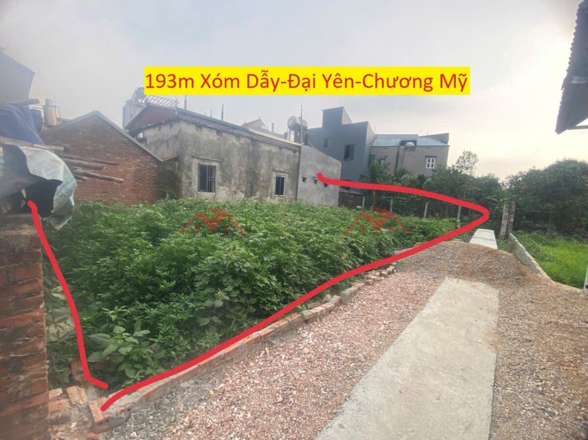 z6587897330900_4b63516f1f7383aac7450dddd2a4448d