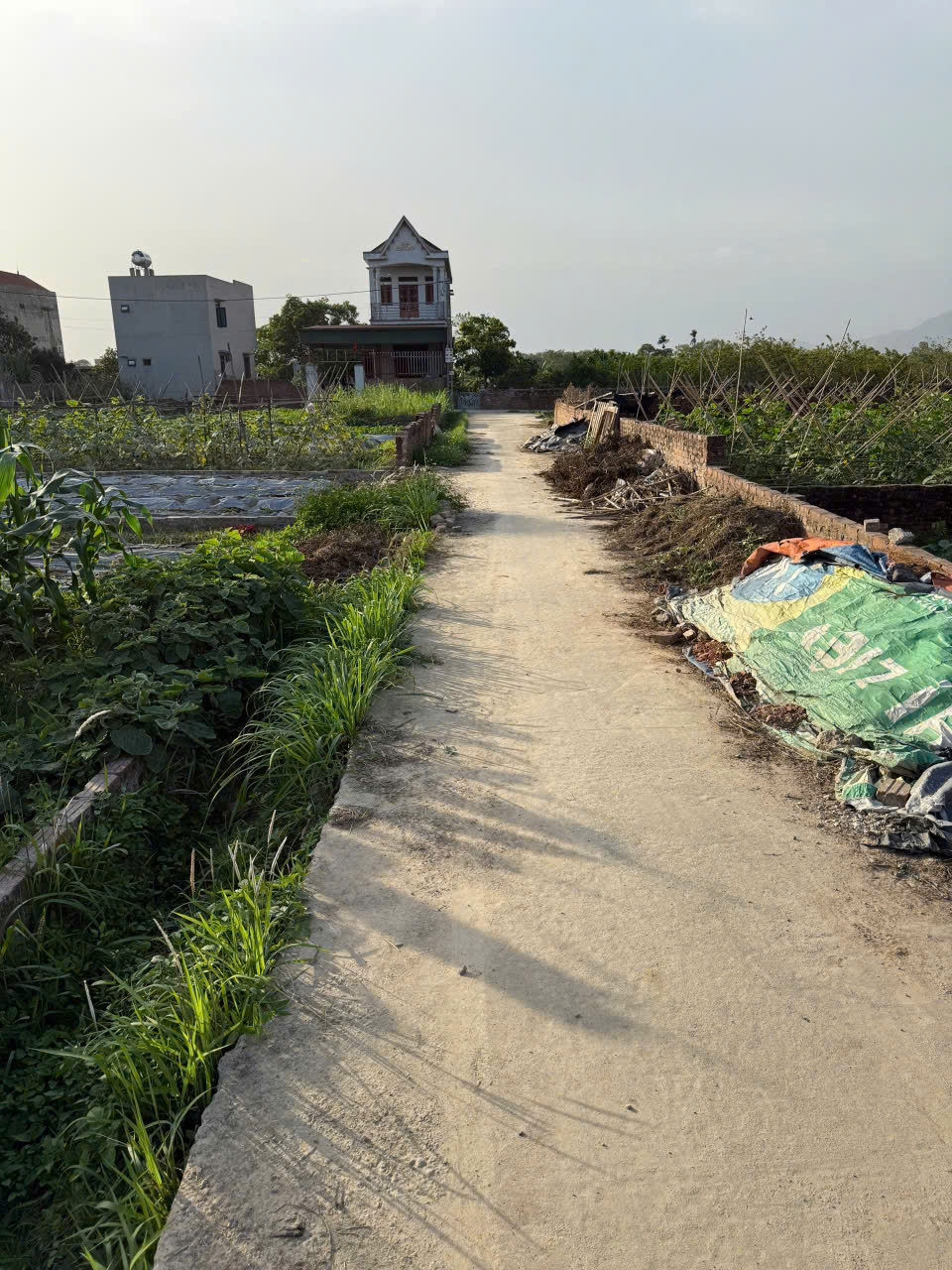 z6588705688133_1638e759b793e8cfacbe269e8cad420e