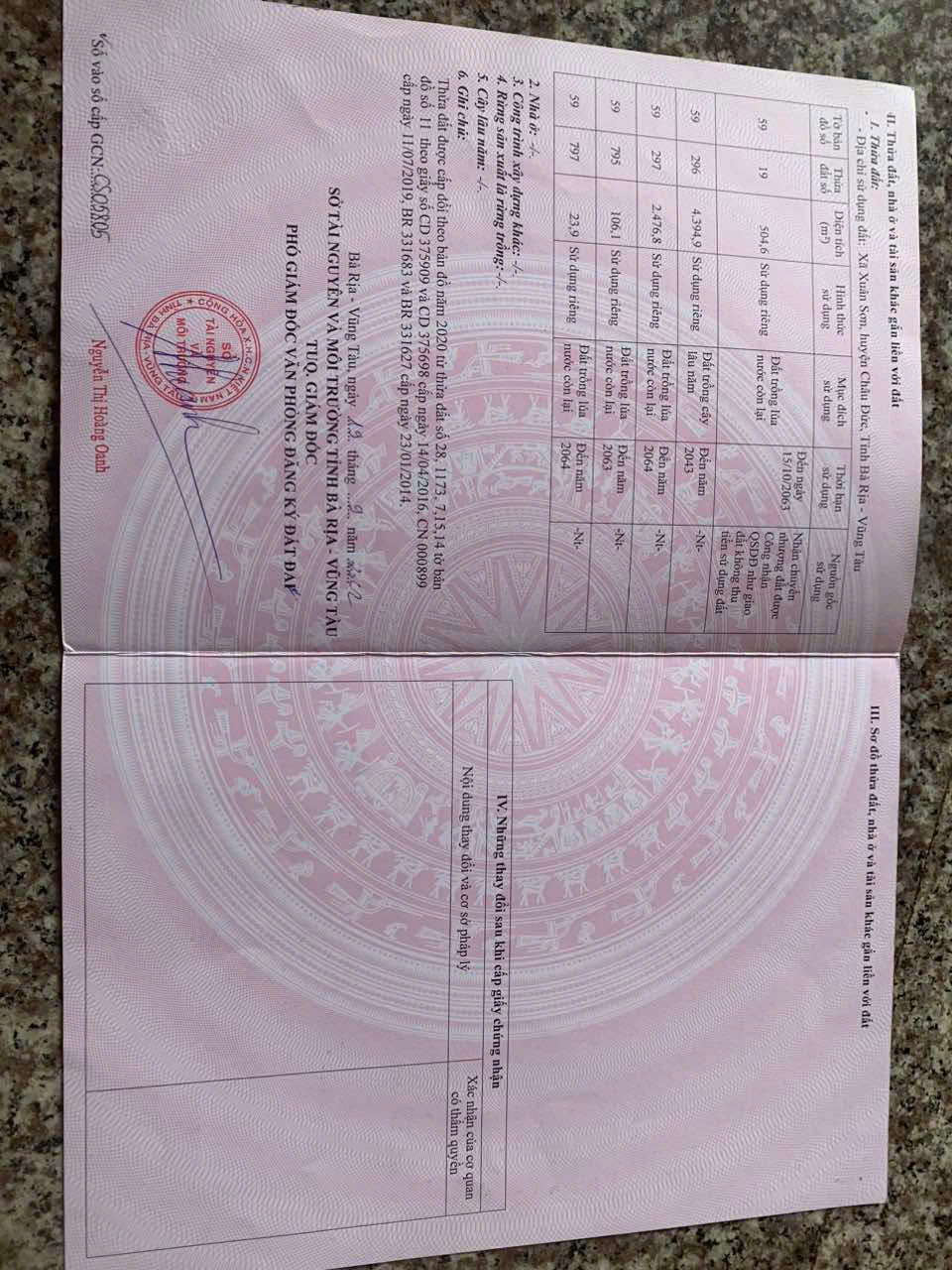 z6589609554558_2f789a9c5d52cbff0e165bd29082b00c