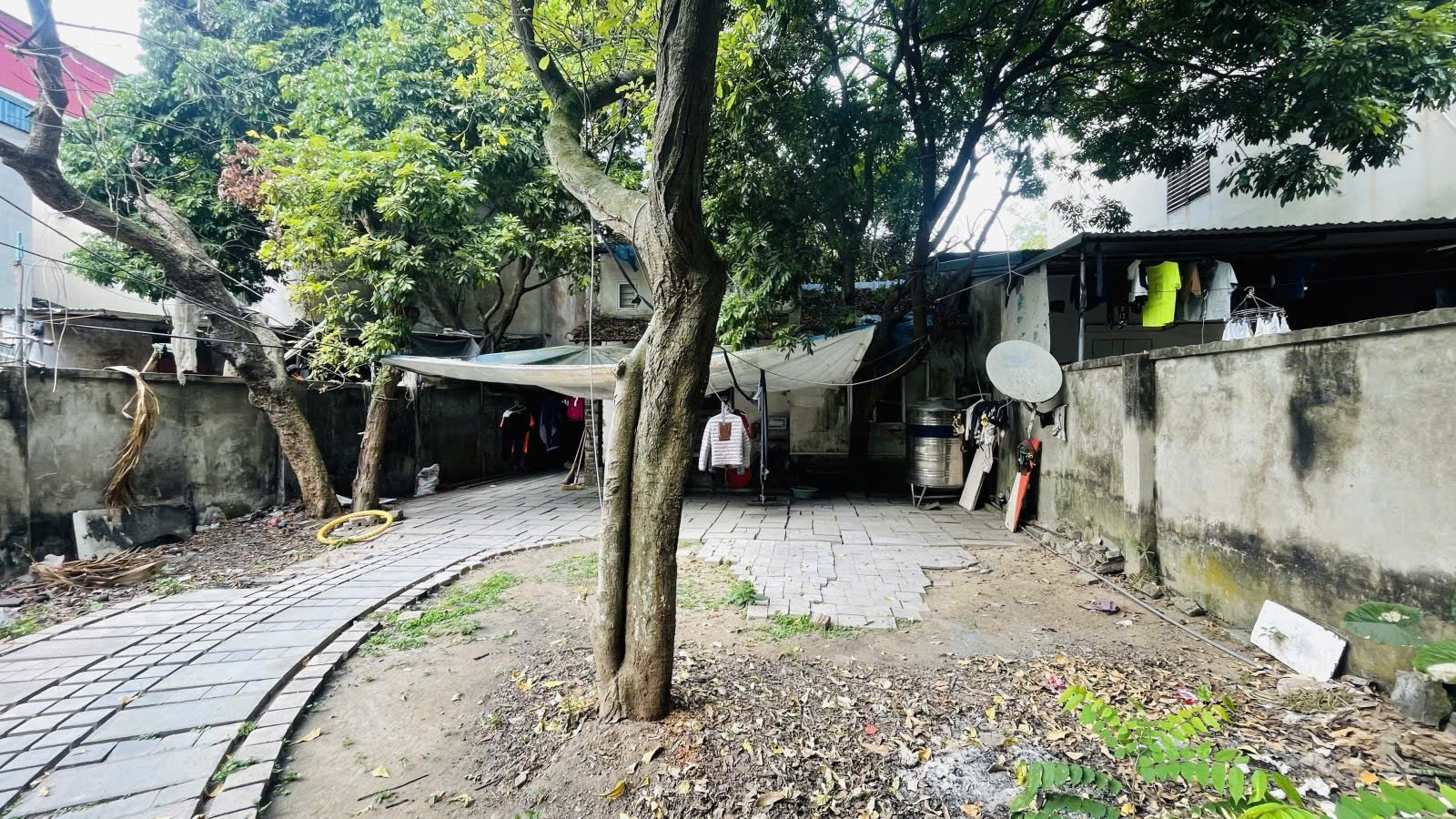 z6594247830212_5f2940f00f5852a852a8c9d3f6918a0e