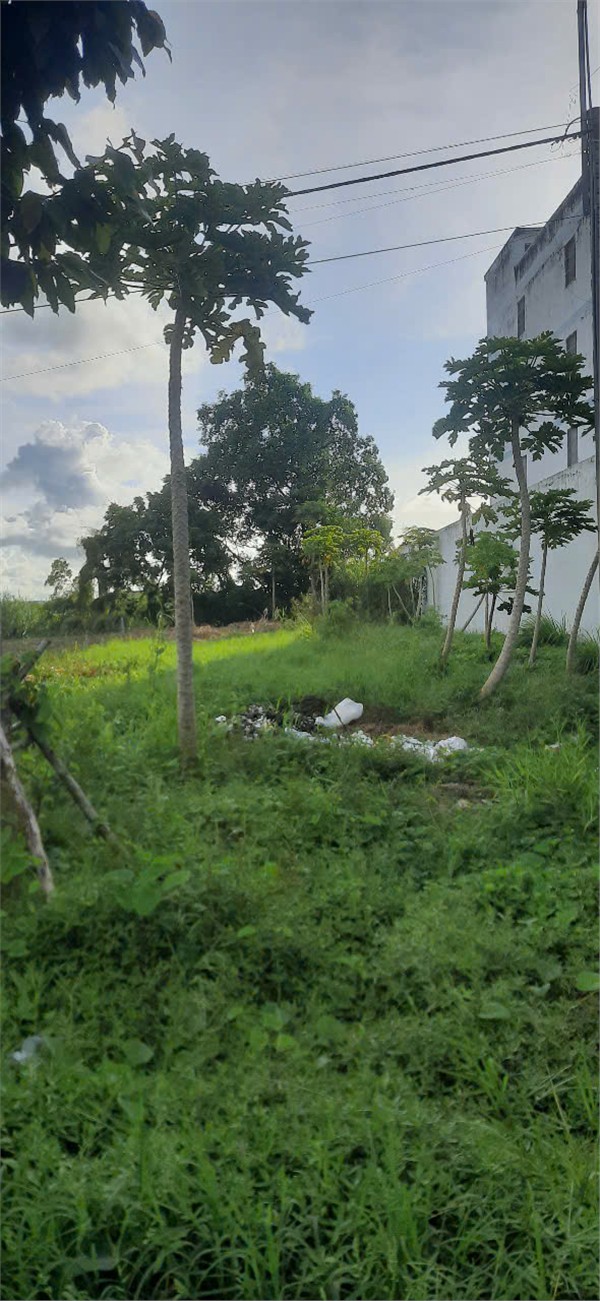 z6596124842571_21118664bb98f3ae4a4807812909e6bd