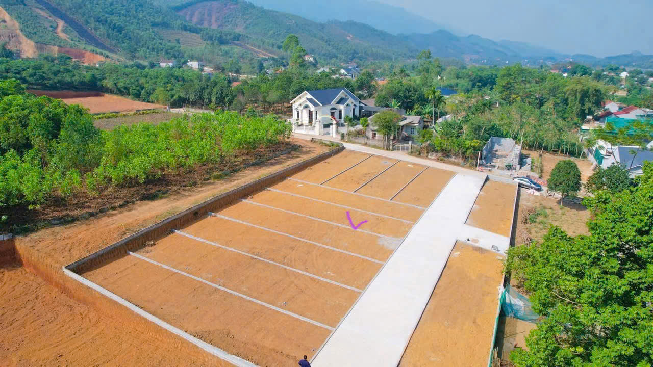 z6596147350083_18941f6b0303f86fa24dbc3b5d5e4e2b