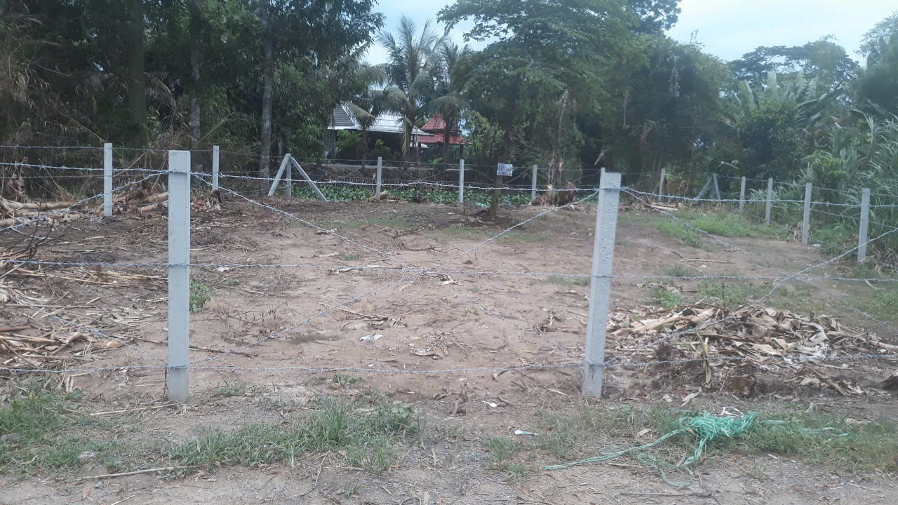 z6596644050724_2d0fce48fe9d88c9f417868f68eeb649