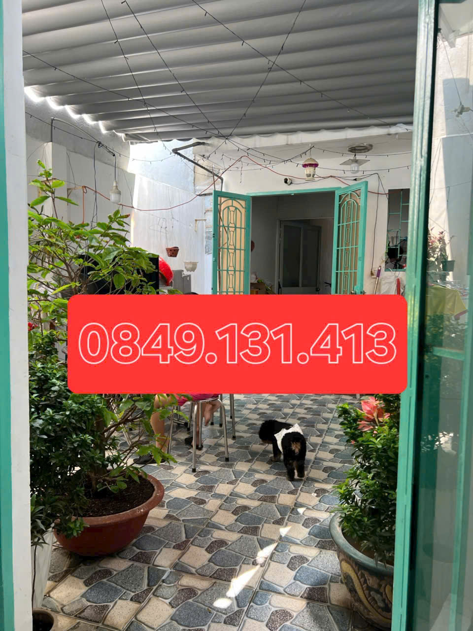 z6596780269434_566764d6afdf0640e04dc396dc8b1a9b