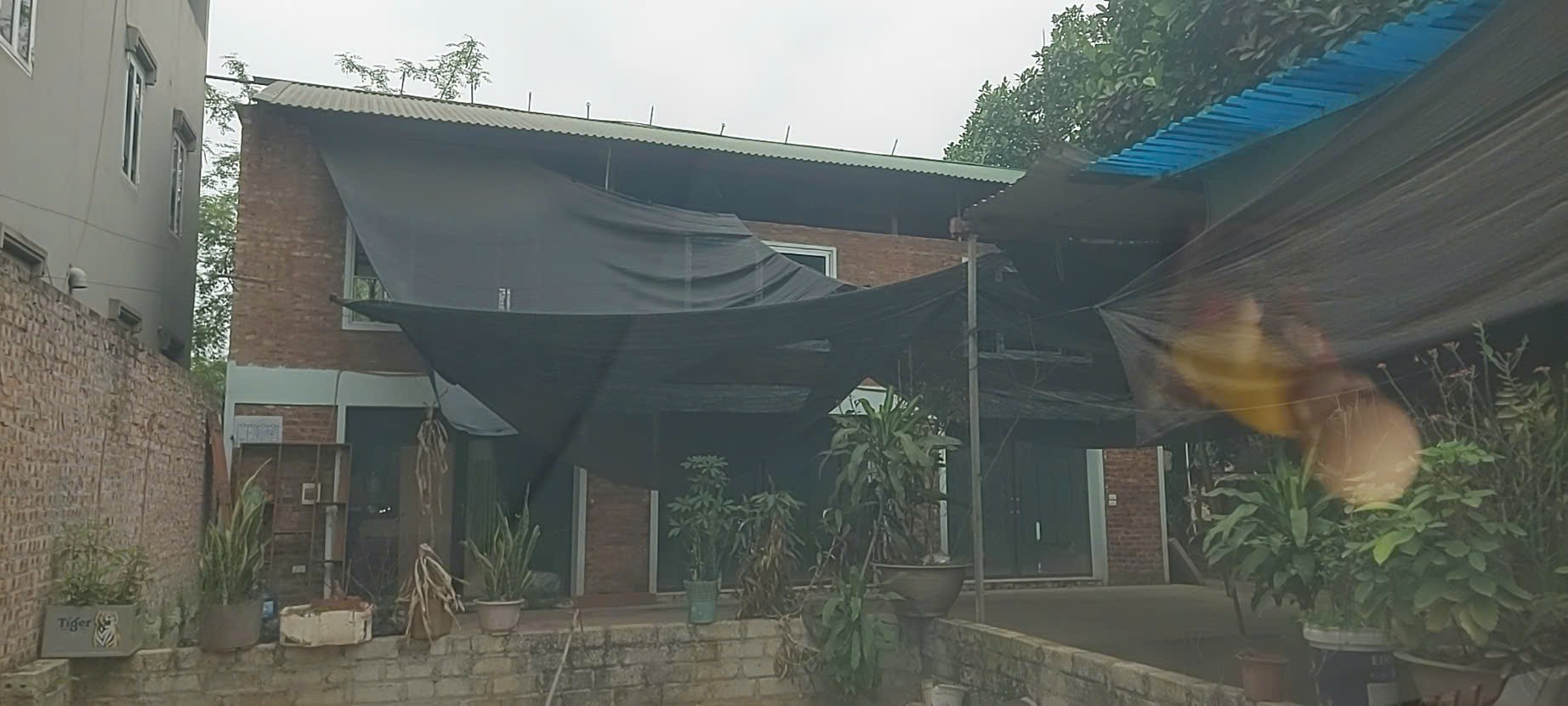 z6597097224337_176106756916e902d4ec5c066f9a9042