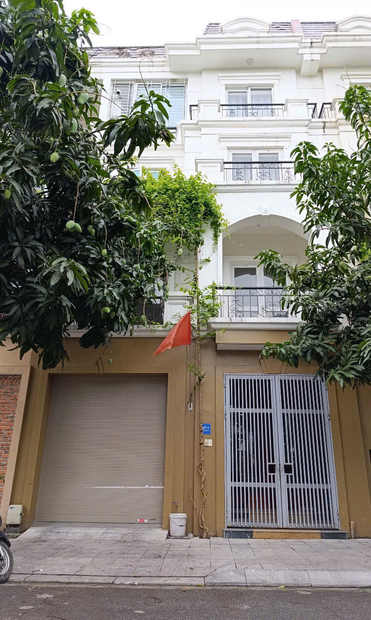 z6598008401129_c529947aedd43e7cbee6b098c9004d81