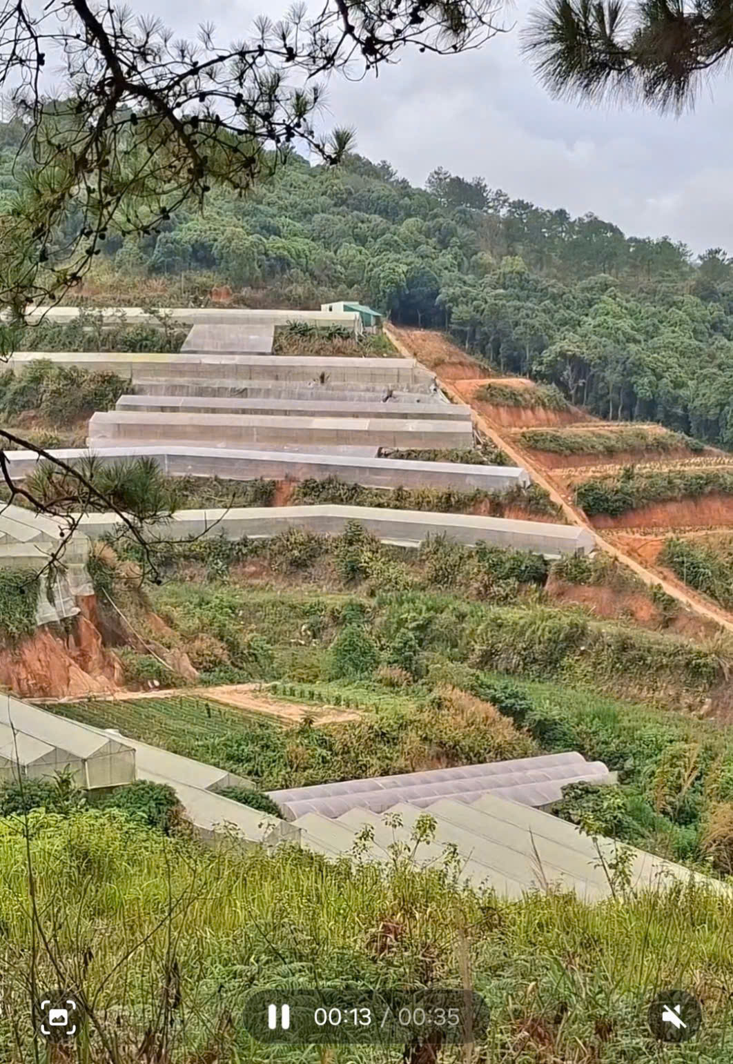 z6599404527965_0da68b01dab1ab90e1cd22f7469732a5