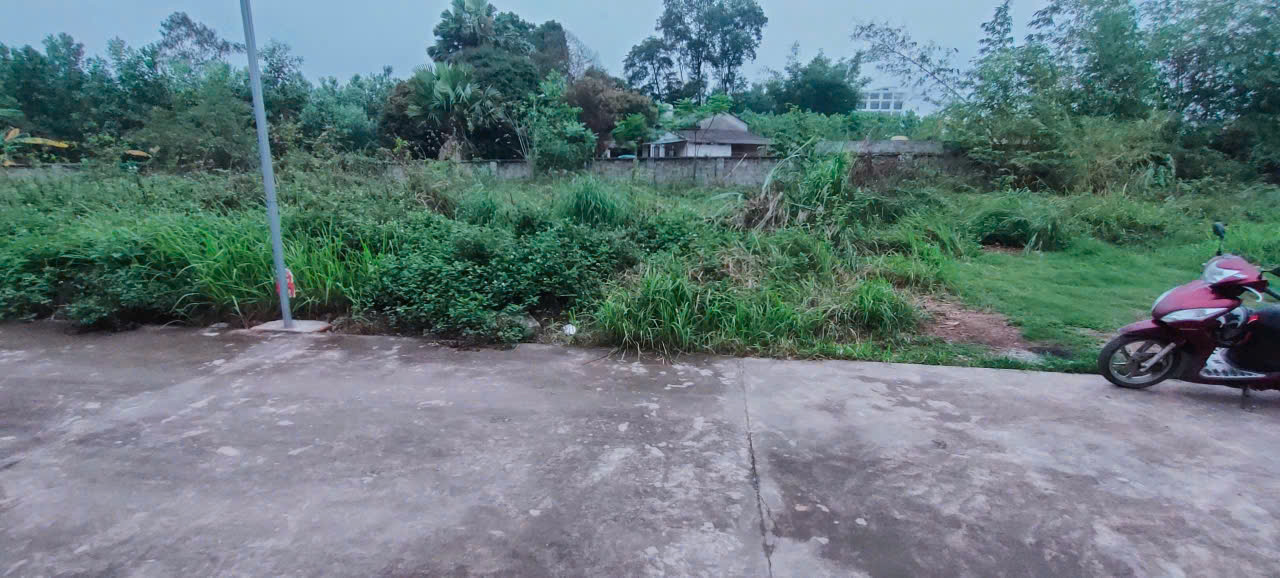 z6599481326104_350a8877957940f0cc7919d792bbaa4d