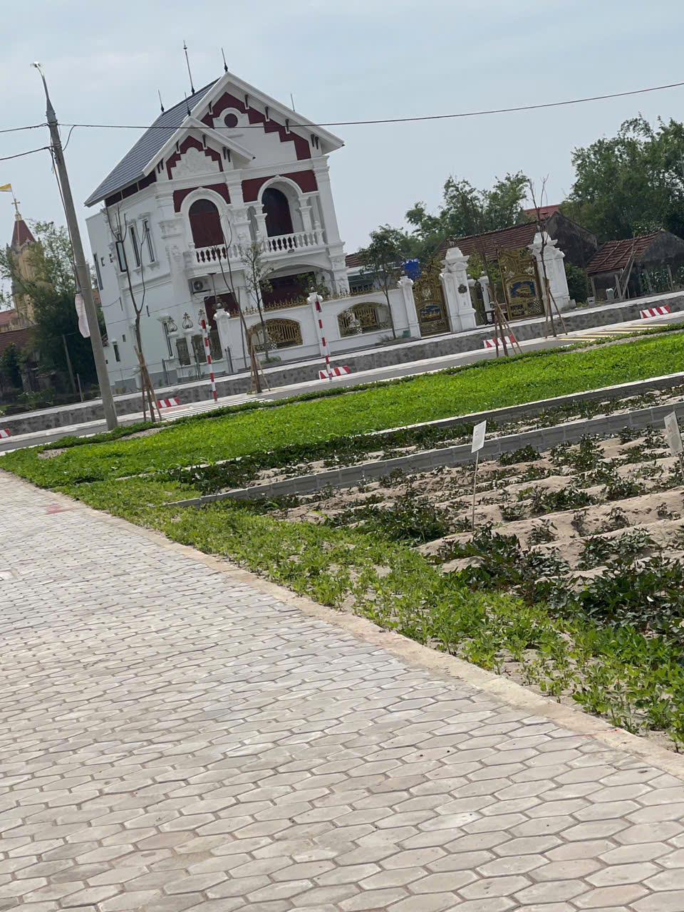 z6599689831569_cab8c5ad6d421f197f3885cabbabd88b