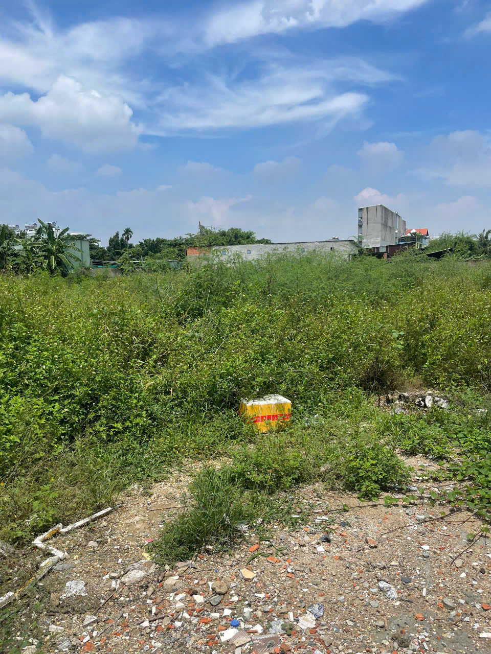 z6600206609278_5b500ac103da1424a78b640809f8b302