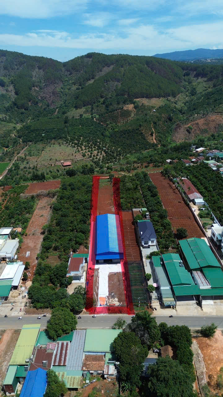 z6600289852753_3205c80d65c6cc52e285dc99582b4133