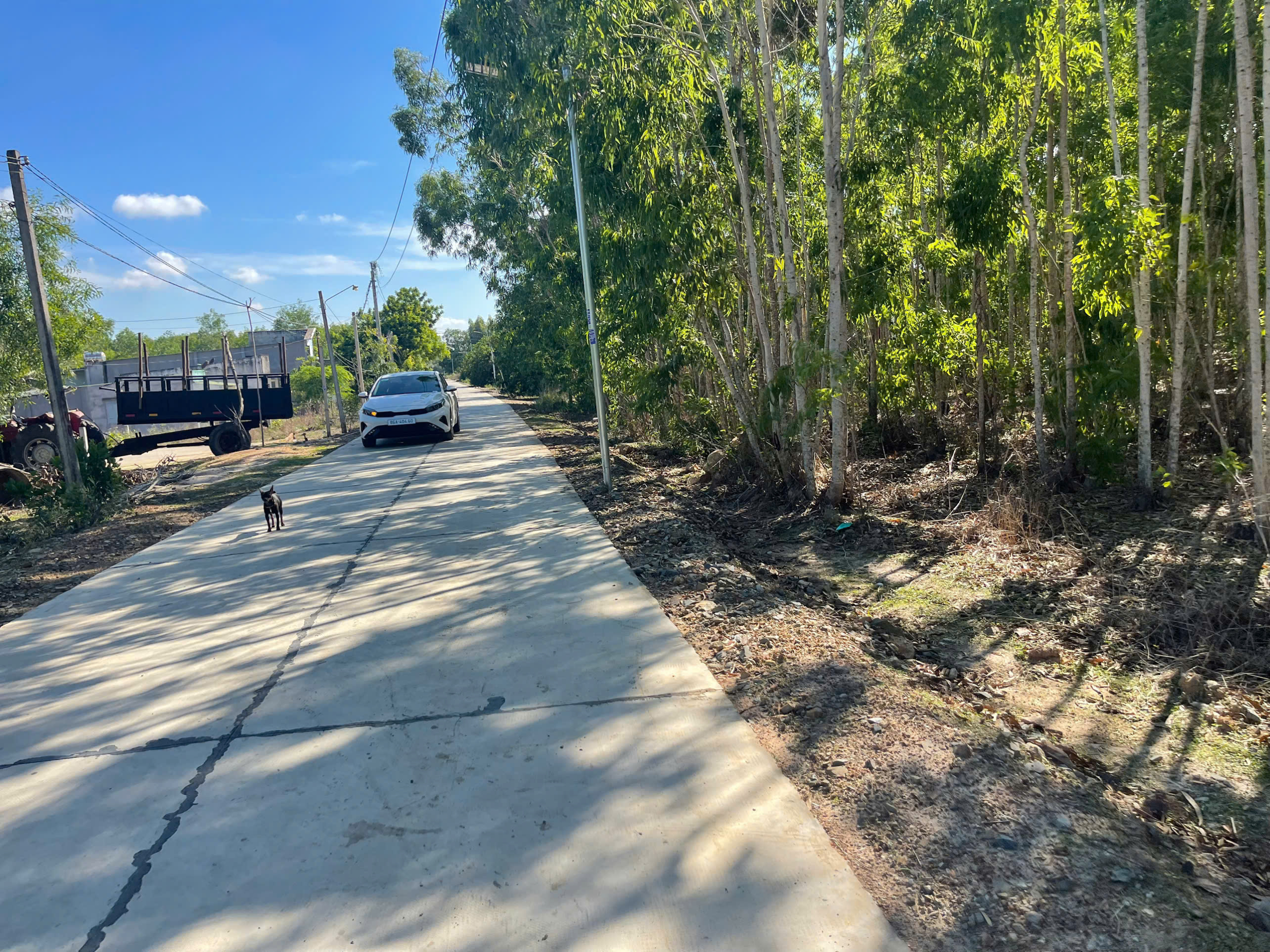 z6600851326857_41b796a3a66f50c059a56018b3c77219