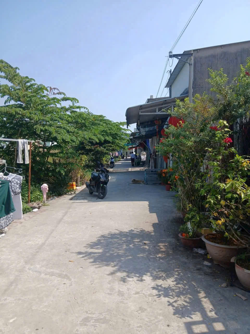 z6602806463192_6c93c96423765c915372039e63173ddb