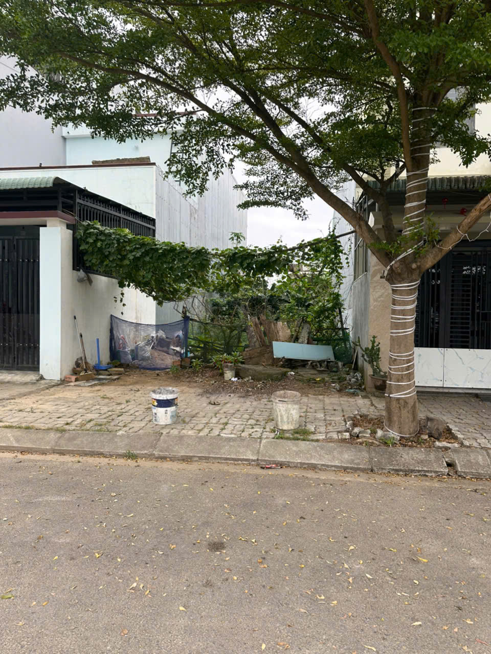 z6602831985121_01d688d9c0a805fd59a8897ea5427ec7