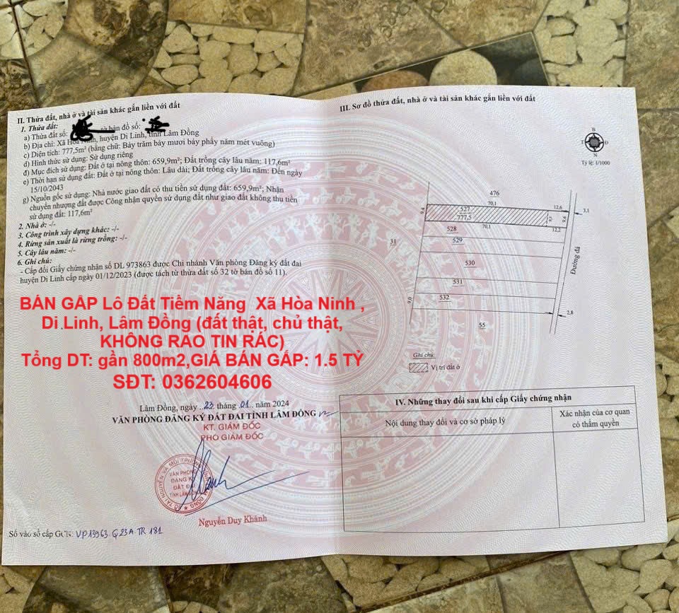 z6603335632977_360509261bf96d99c3e2a160af0ca7c