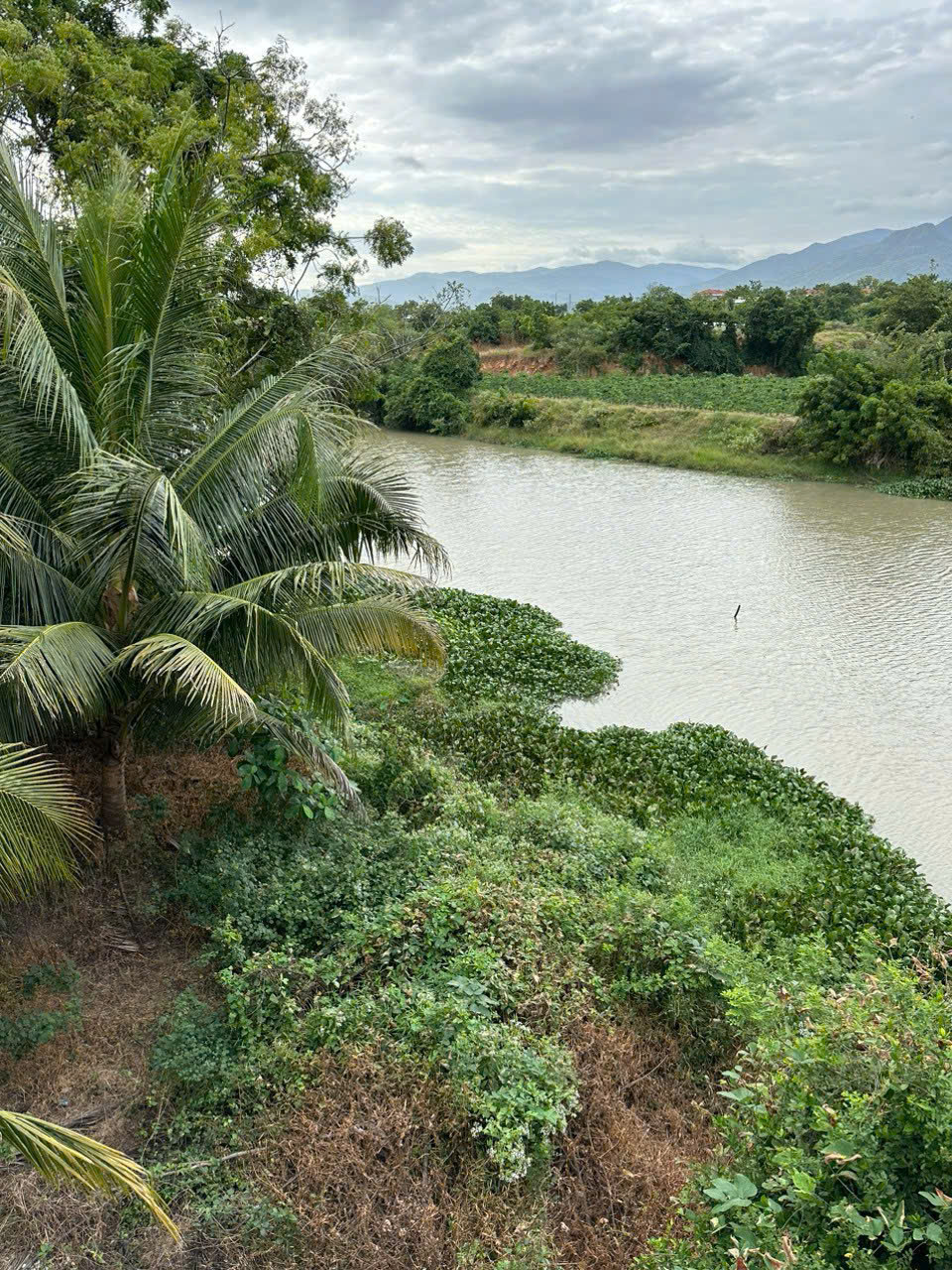 z6603807520703_21d41bb57935f7de5c122216a0fb2a57