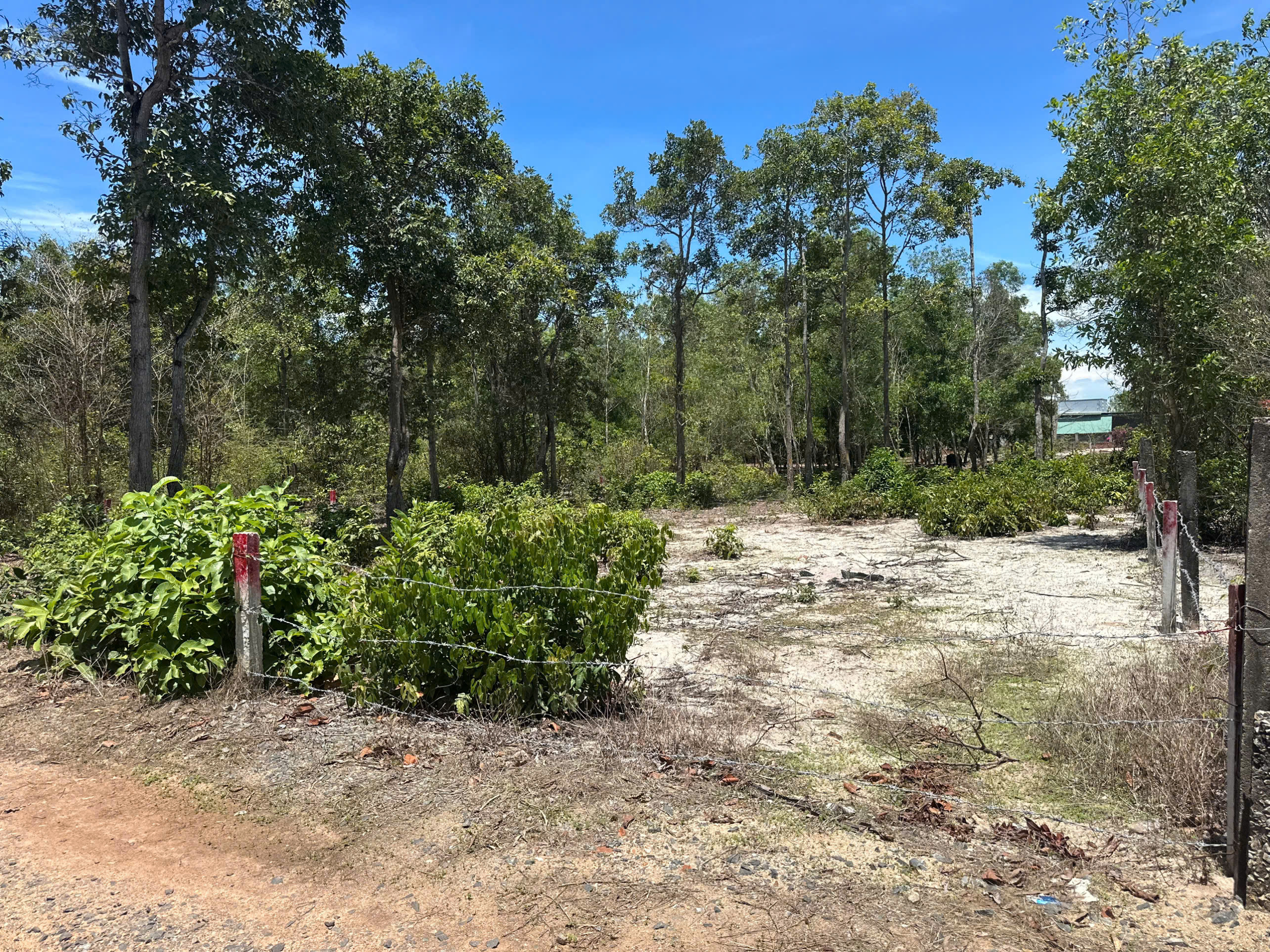 z6606437013132_b2ce5b29dbee015abce1aac973ddc668