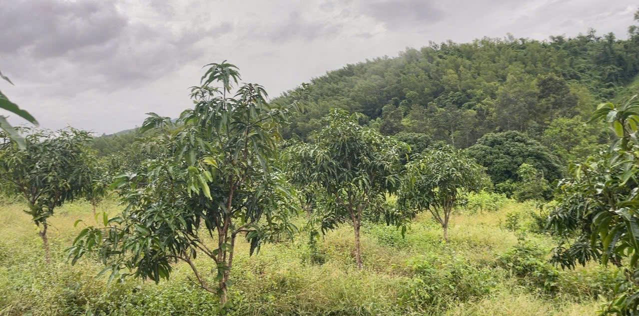 z6607272752543_b9d67682992381d390895b5664c43130