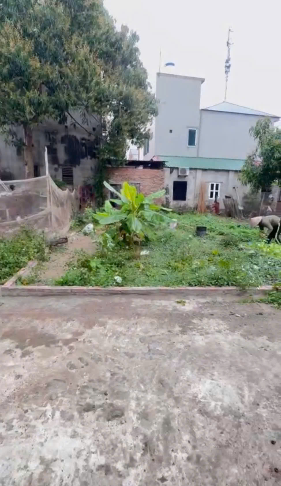 z6609758564547_623648226df25738a6c737eb3a0844f9