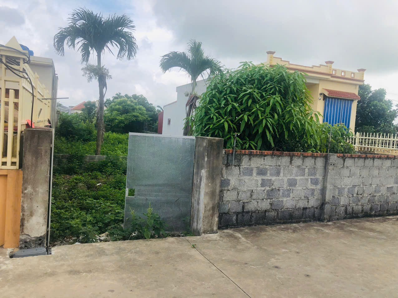 z6609916525168_ec838f5ea7171c701e372ae63f0dacb2