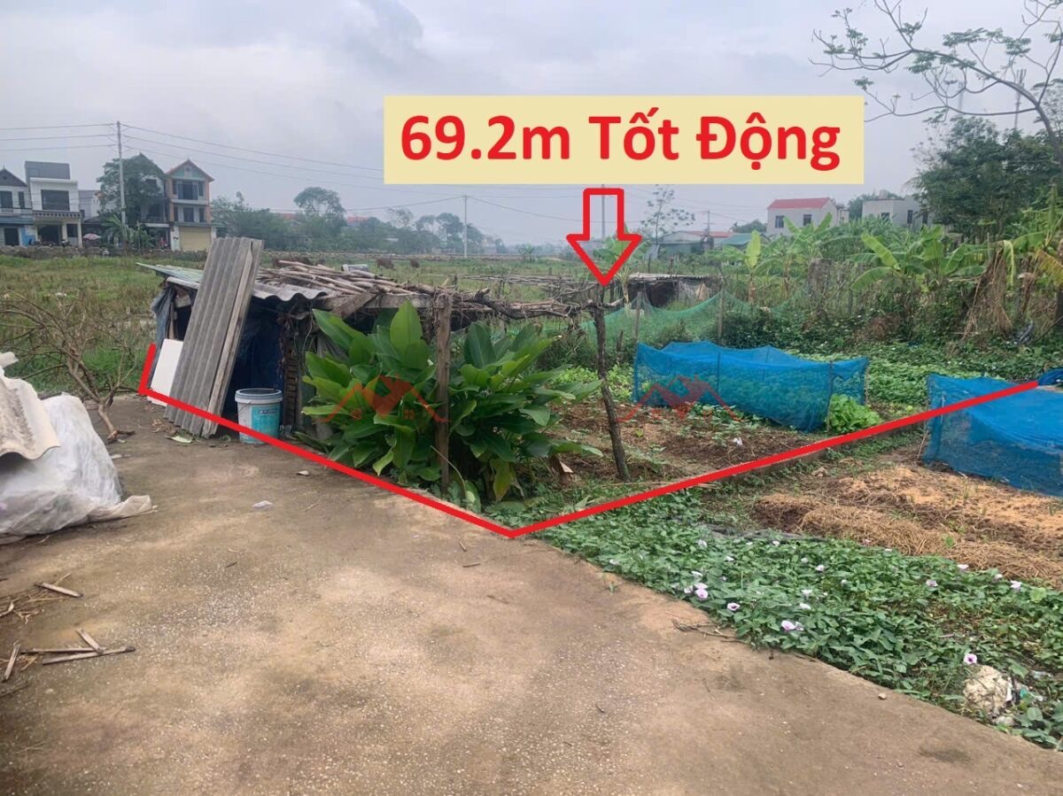 z6610383602986_6284cce62628d0ed2e586a1b217a232c