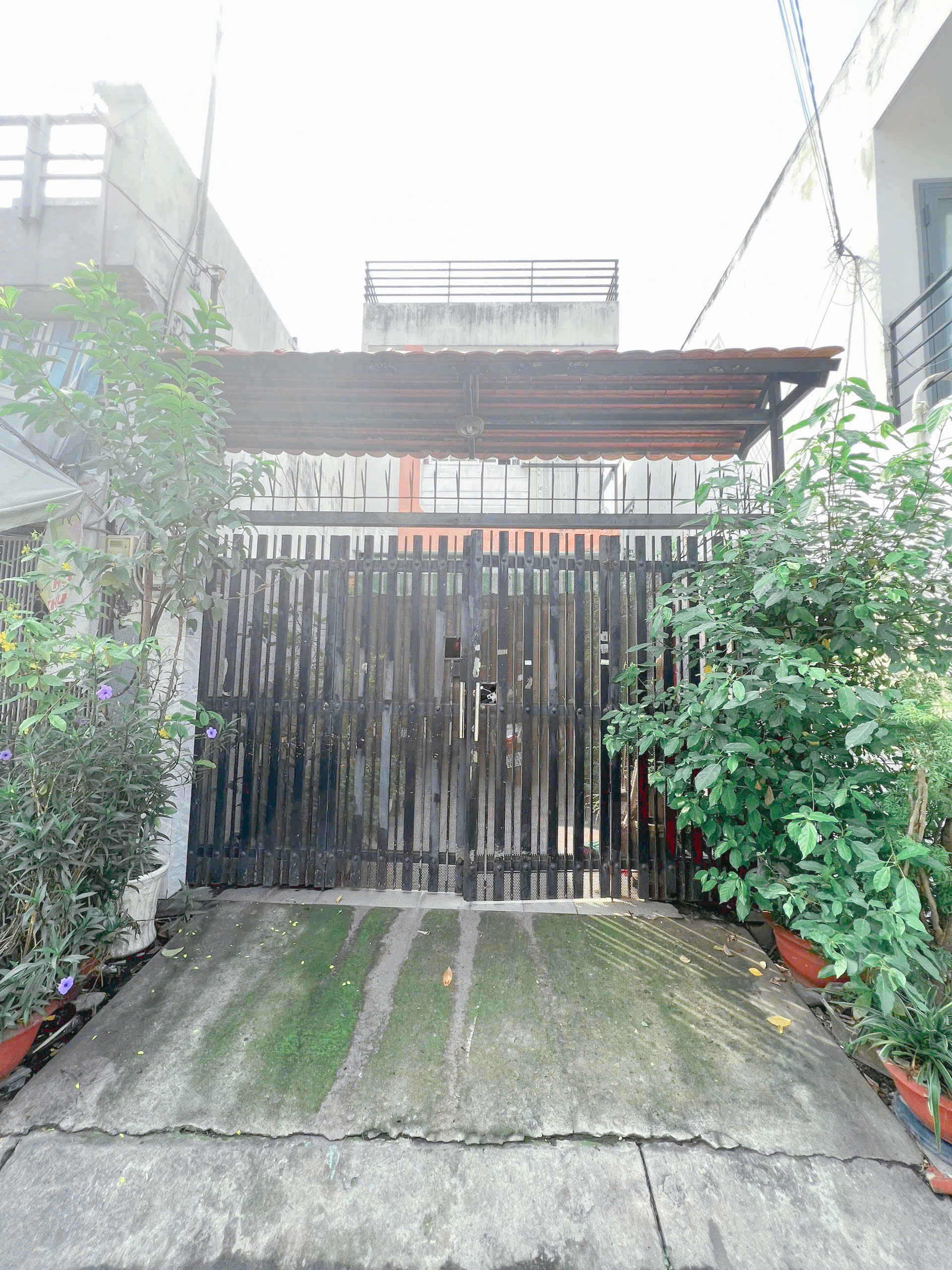 z6610678637966_441beea8a3ef2e4e2b1a662e56d557ea