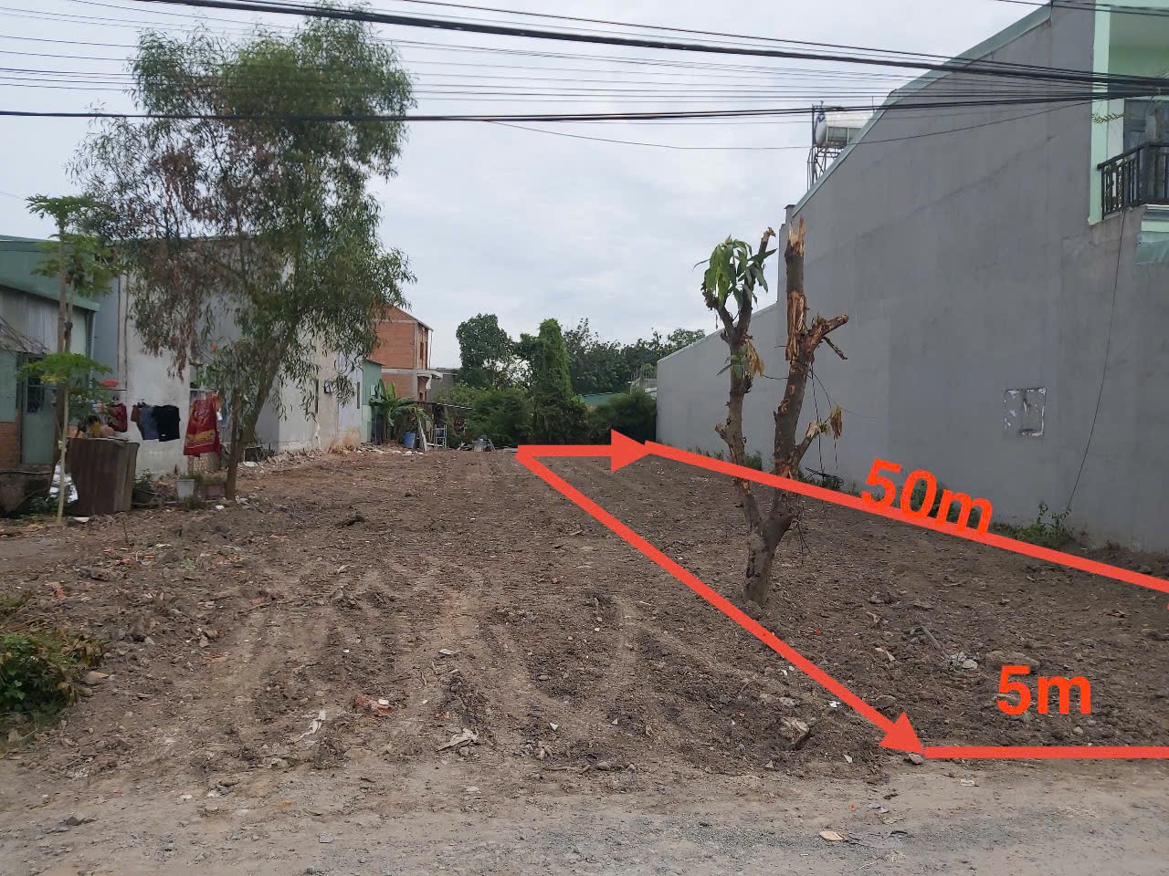 z6613133438003_5c0df3998e9de4c713db7559339effd3