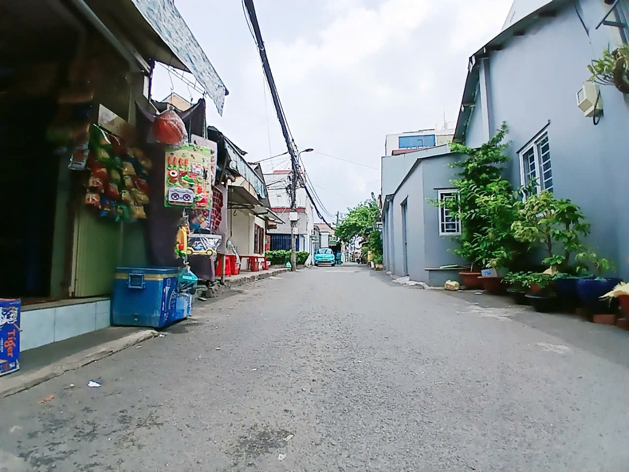 z6613515650871_6a11b132c34fb043172e2fff427dc0a3